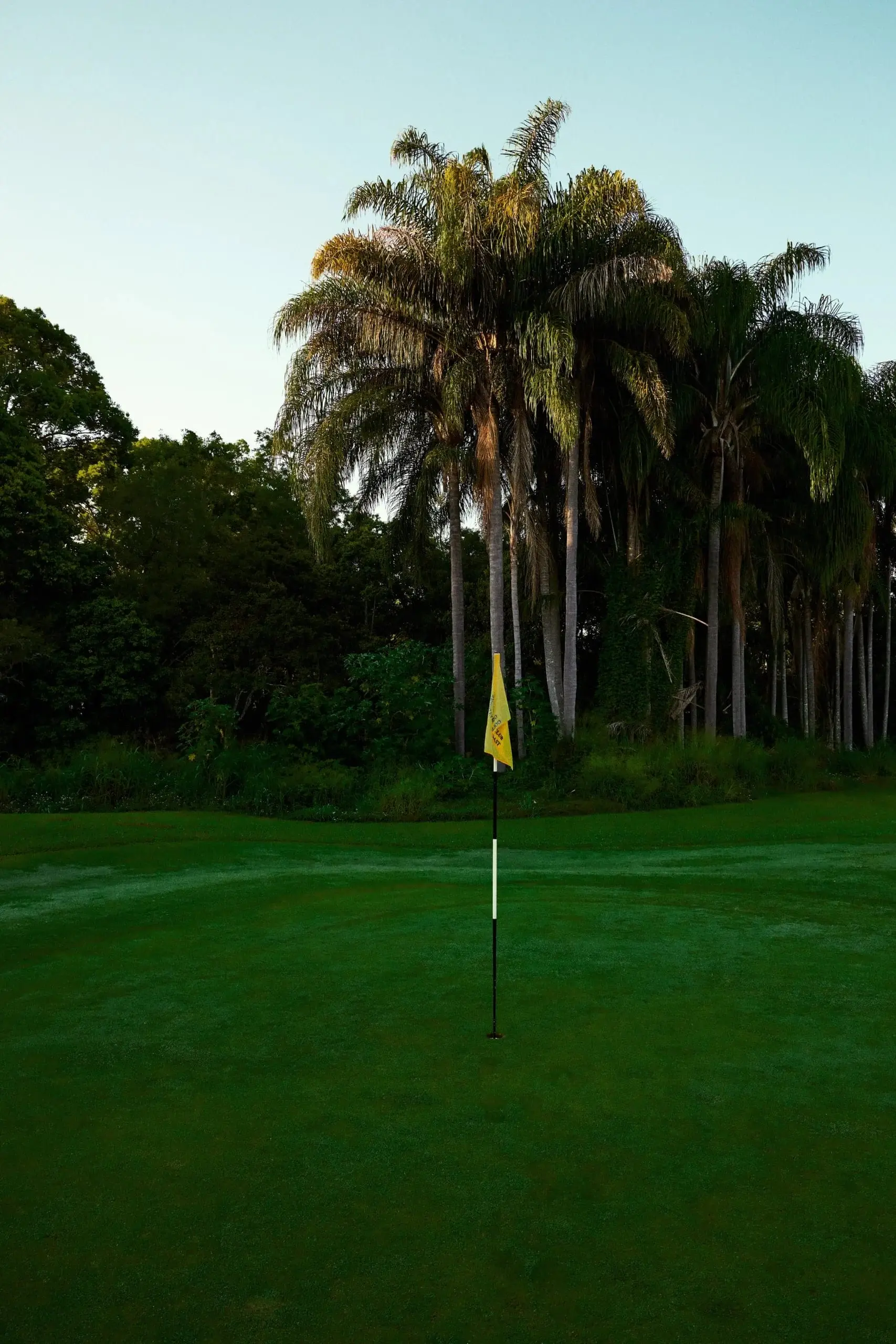 Green with yellow flag set against dense palms and rainforest