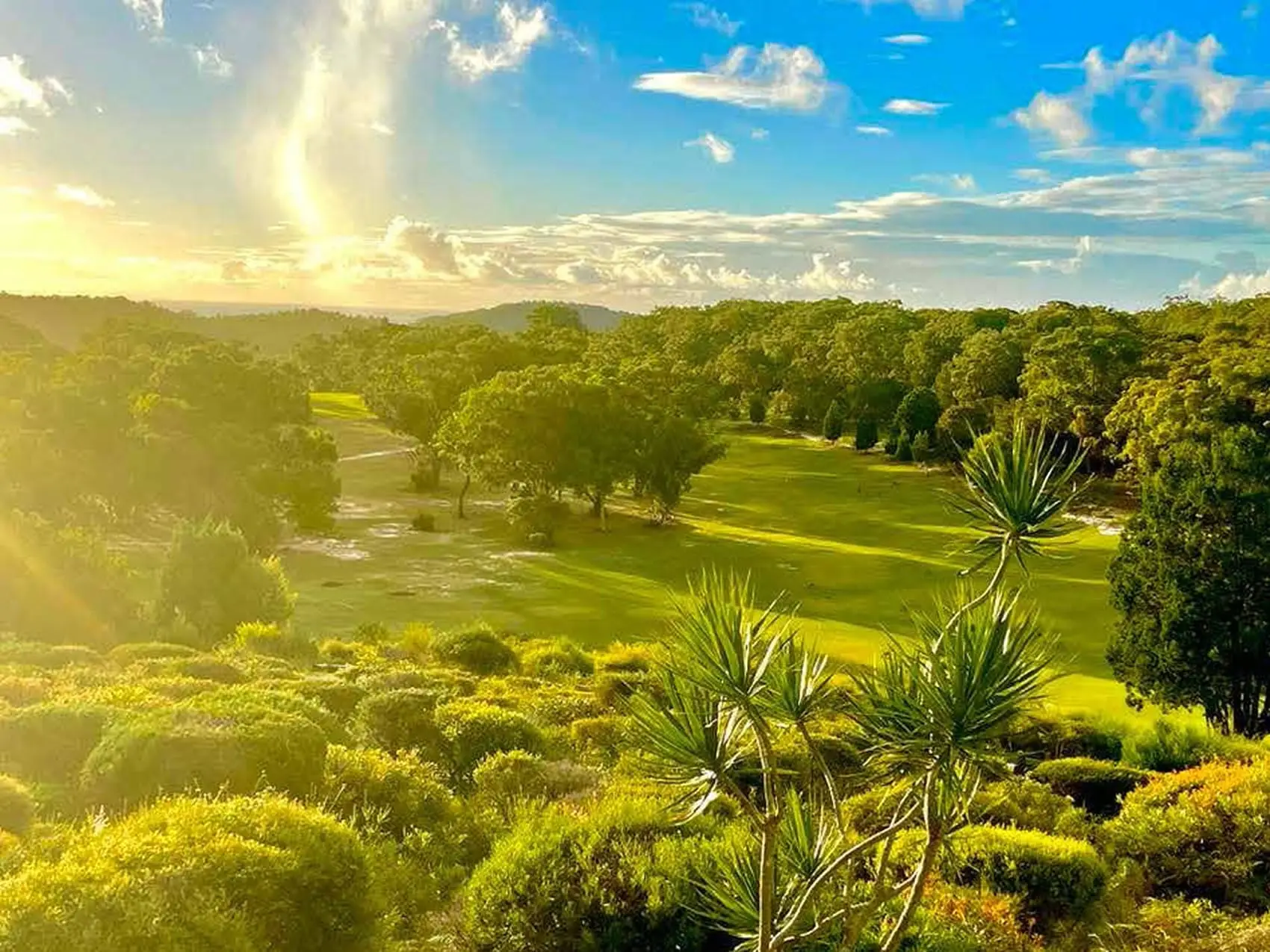 Sun-lit fairway beyond coastal shrubs and palms