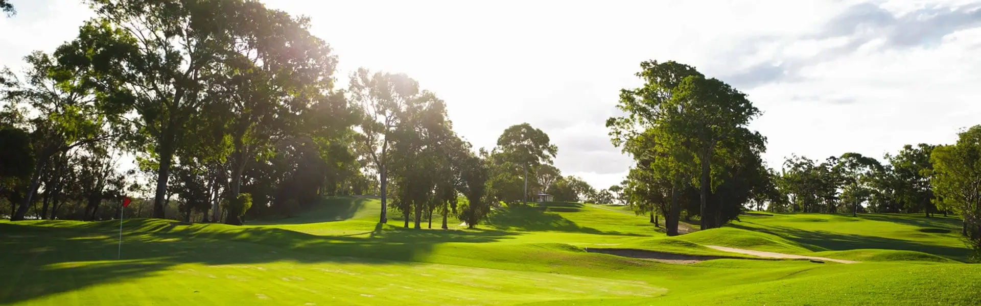 Fairway, bunker and trees in low evening light