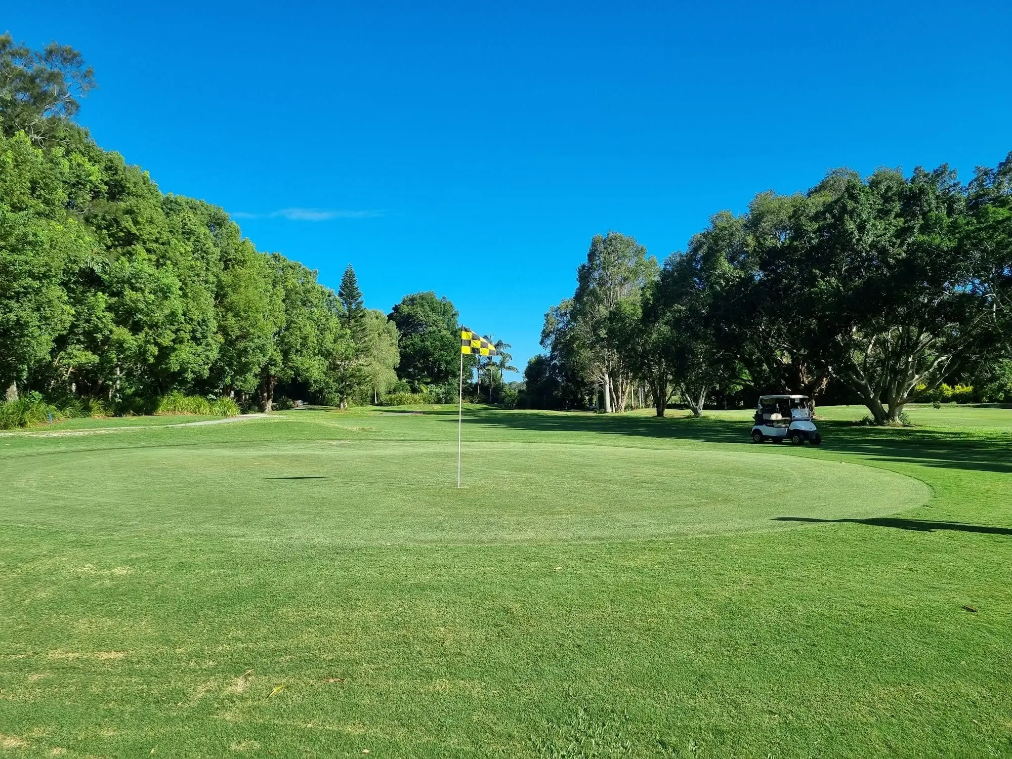 Green with flag on a tree-lined hole