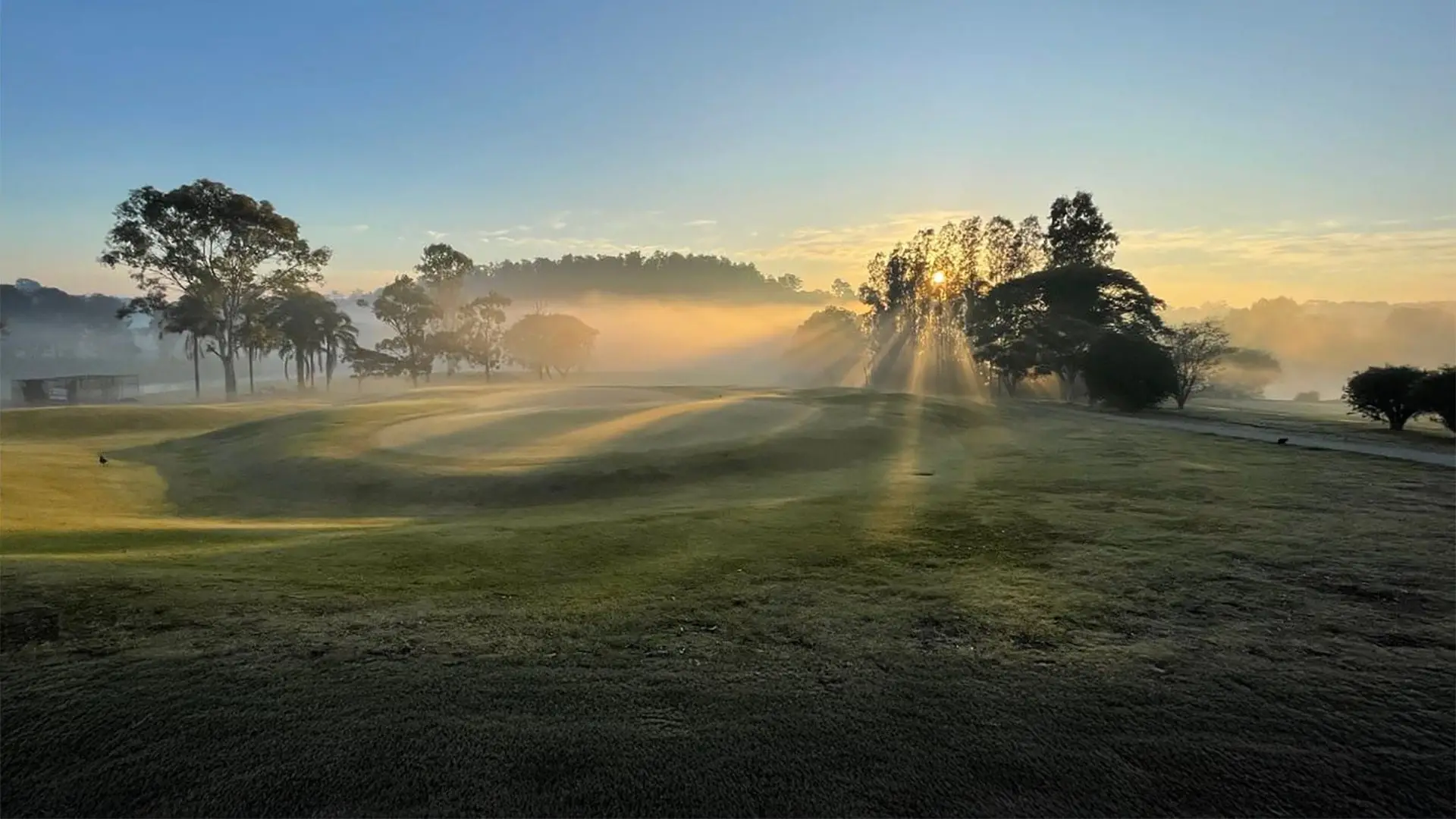 Morning mist and low sun over a fairway and trees
