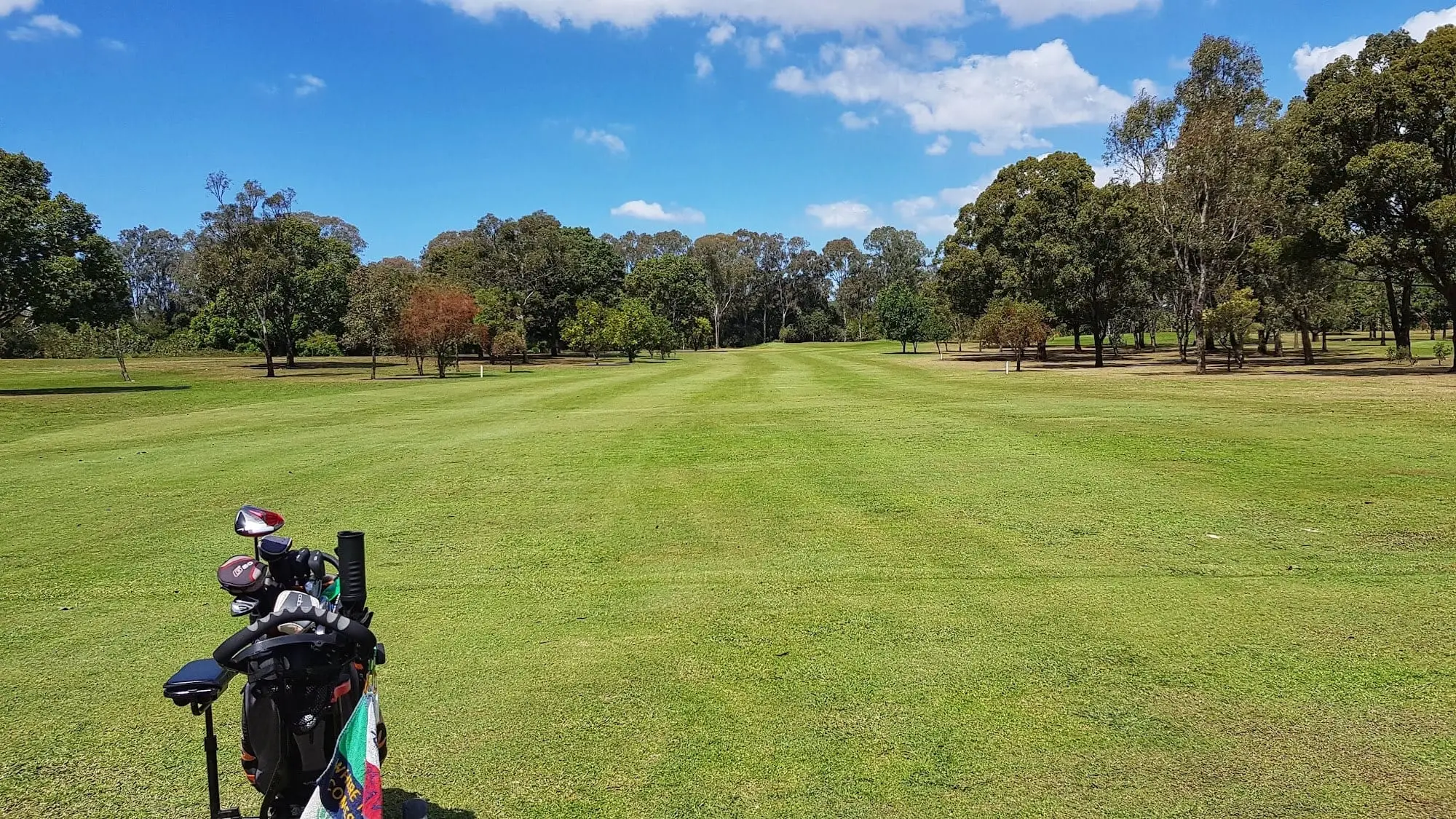 Wide mown fairway between trees under bright blue sky