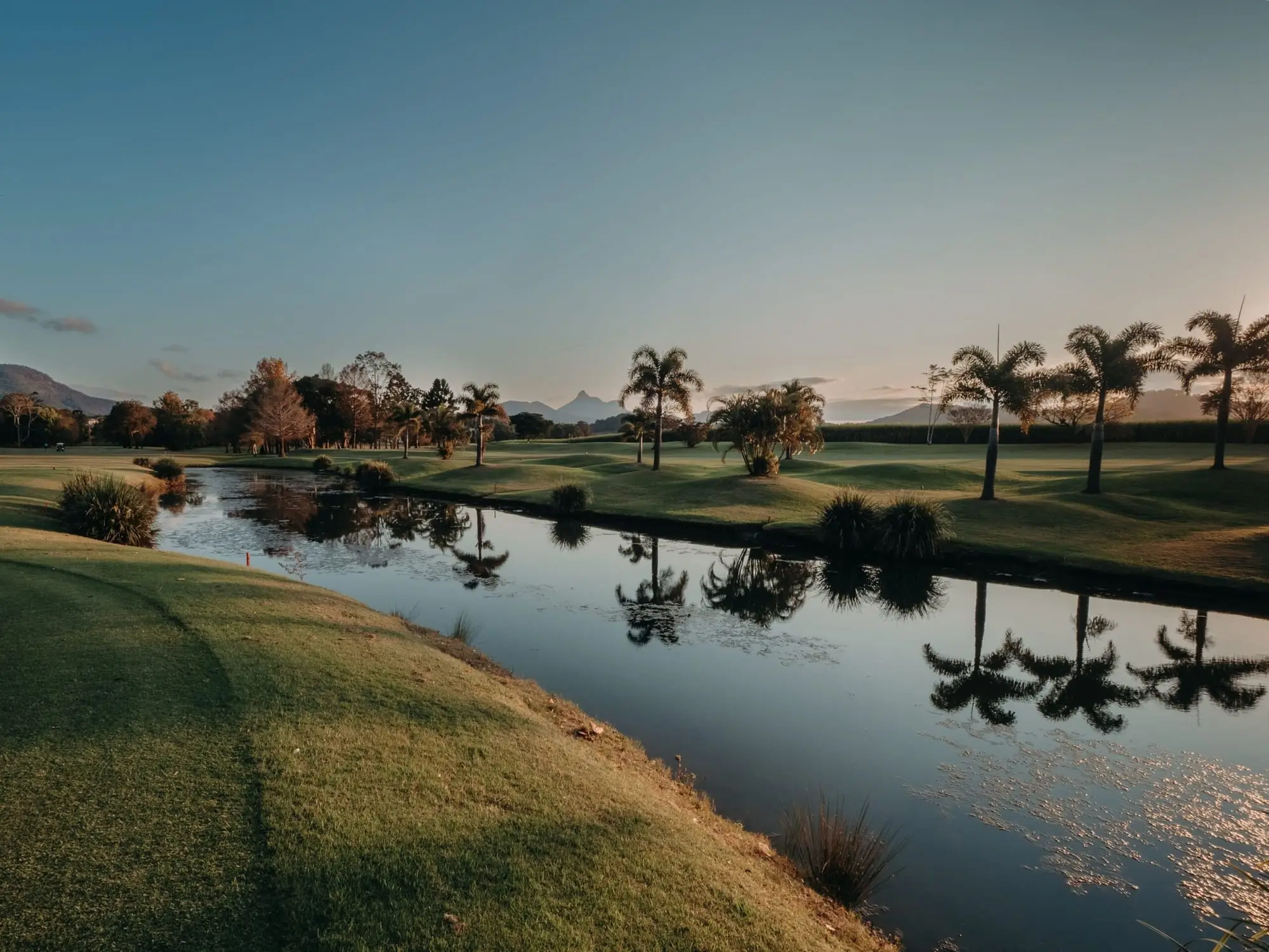 Still lake with palm reflections at dusk beside a fairway