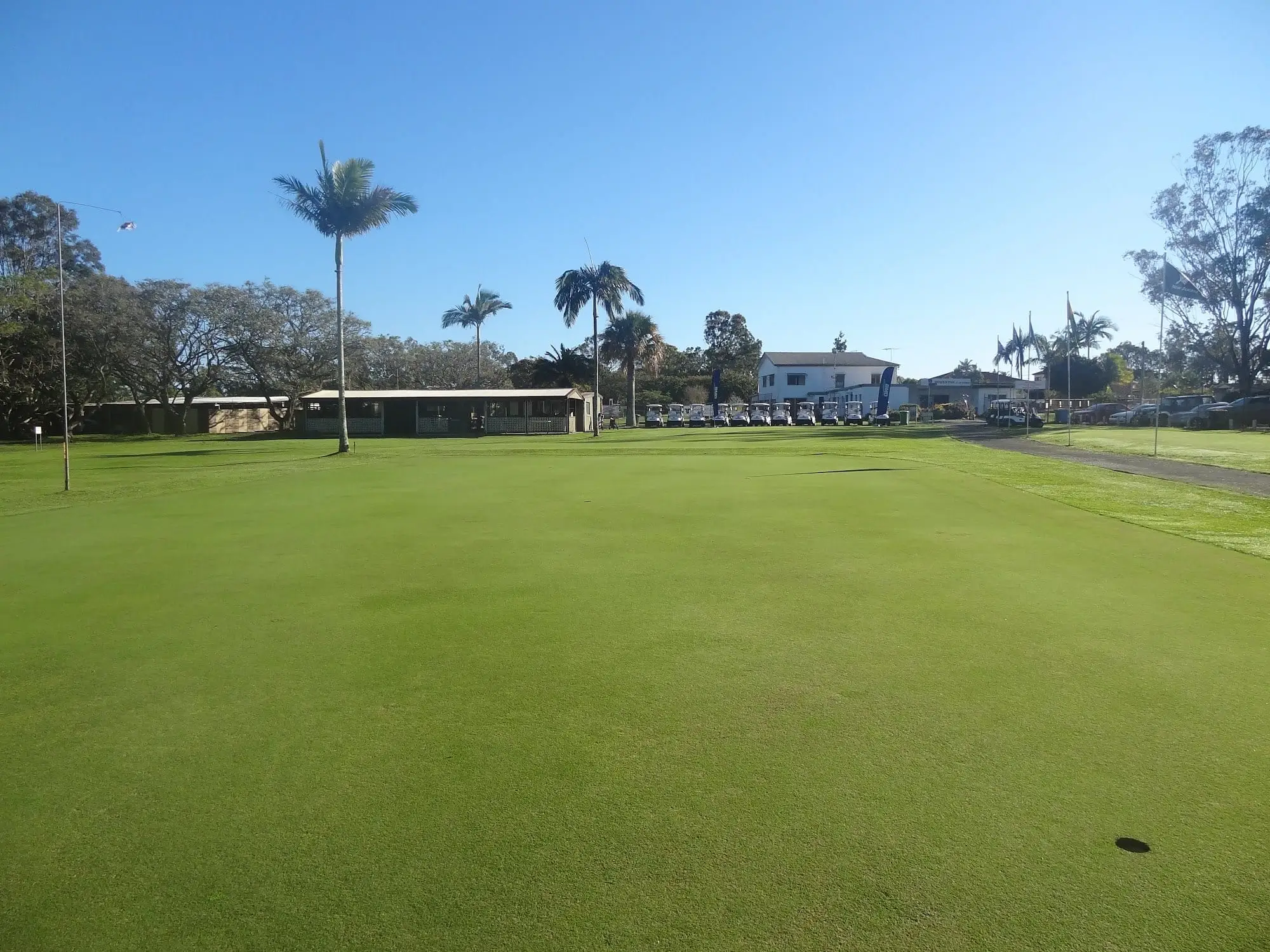 Wide green with palms and clubhouse in the distance