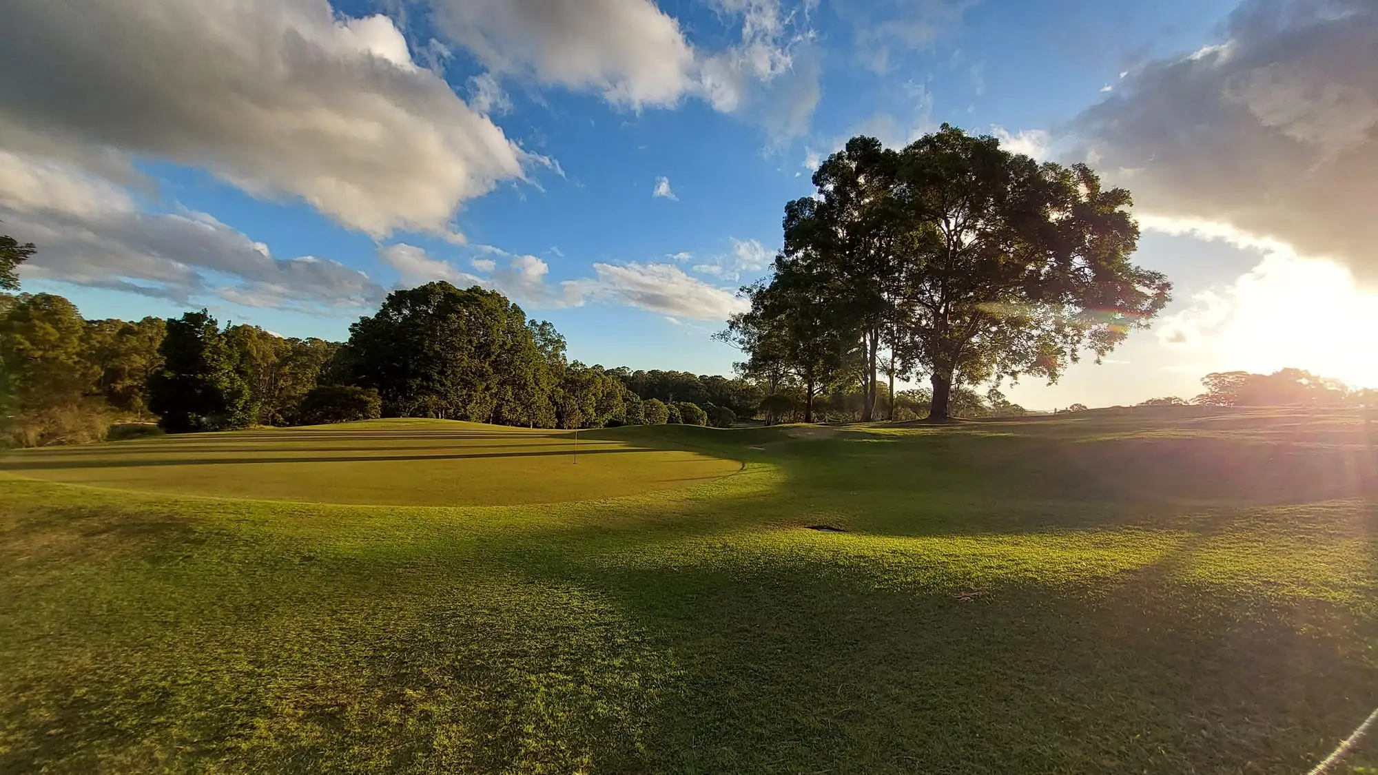 Fairway with a large tree against sun and clouds