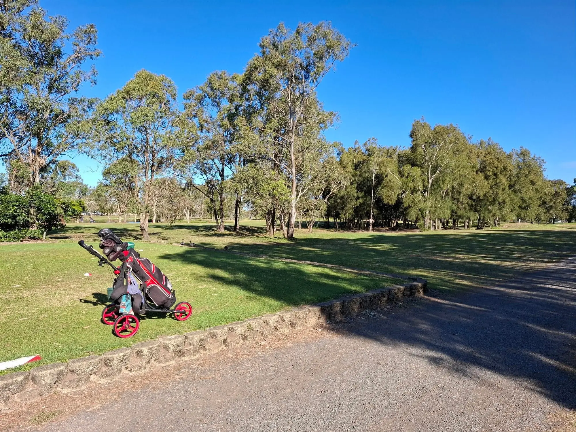 Fairway lined with gum trees under clear blue sky