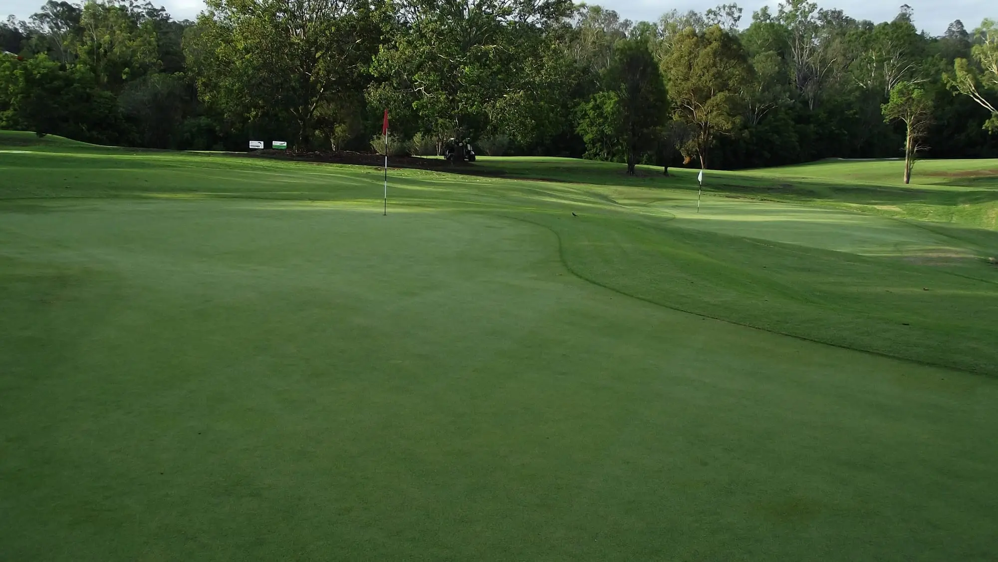 Smooth putting green with flag in front of a treeline