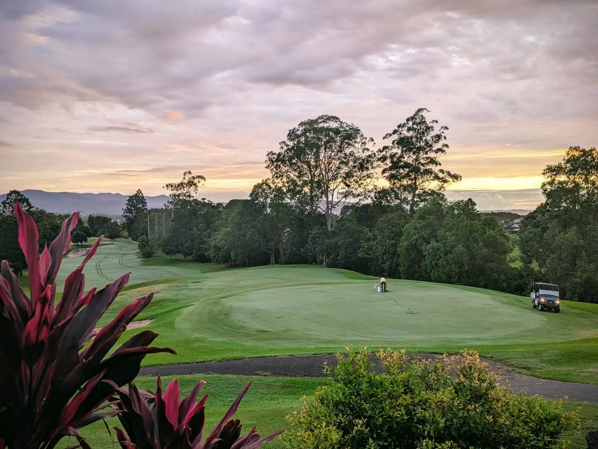 Green at sunset with clouds and tropical plants