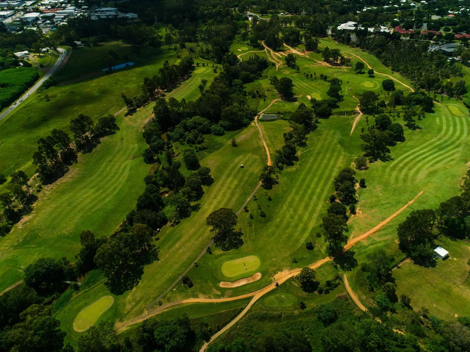 Aerial view of striped fairways among trees