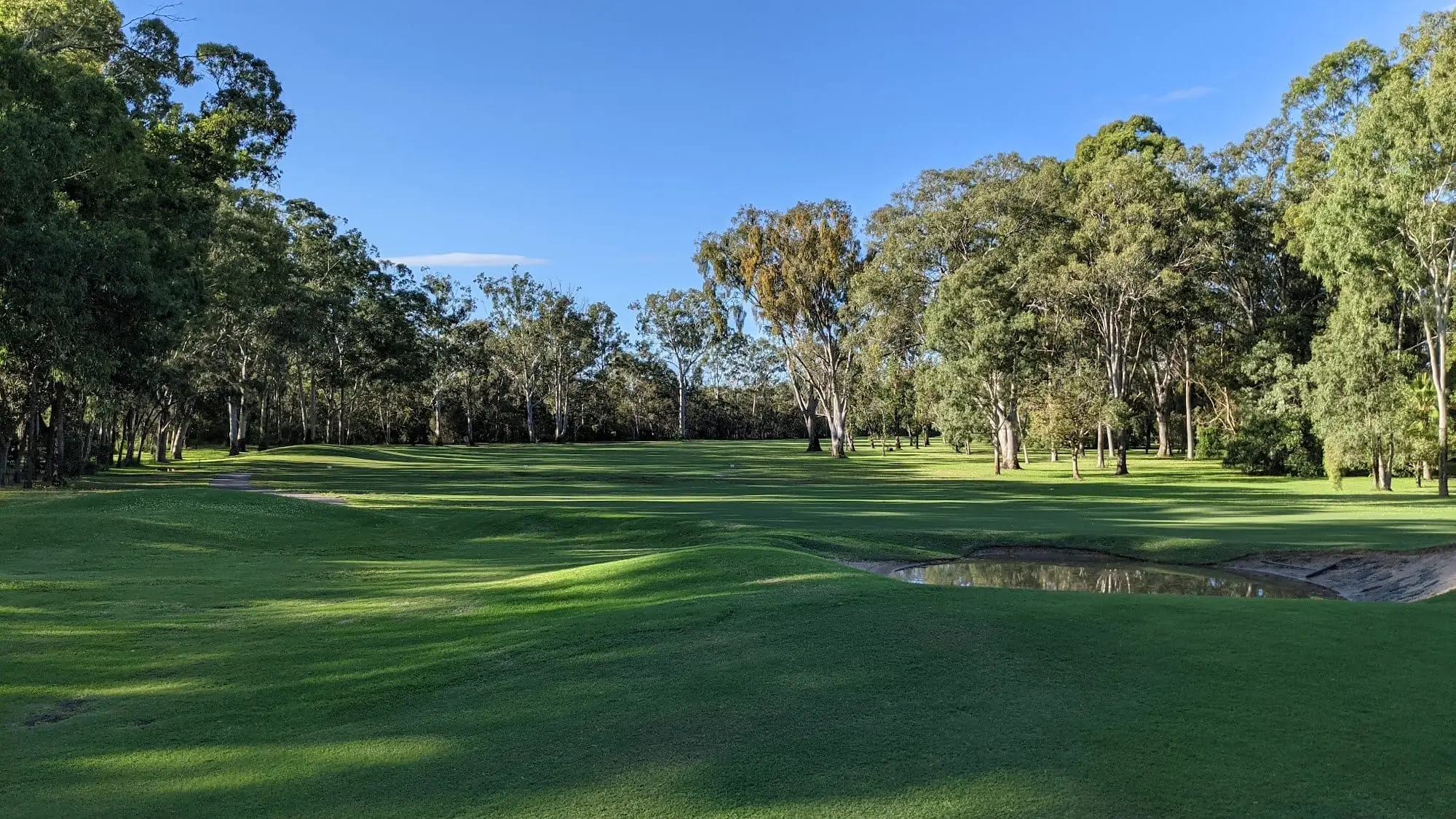 Tree-lined fairway with a small hazard in the middle