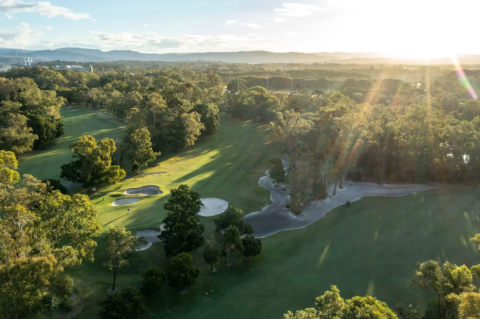 Sunlit fairway and bunkers viewed from above through tall trees