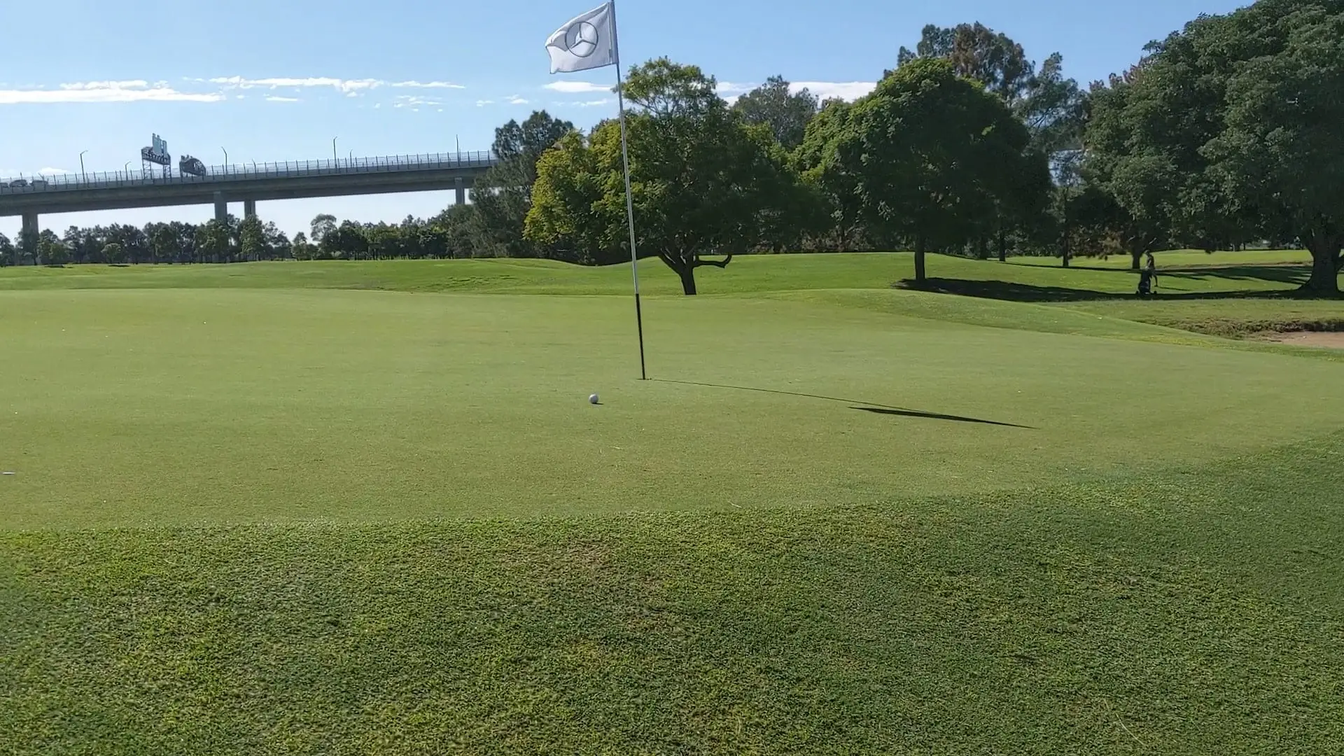 Green with flag and trees beneath a road bridge