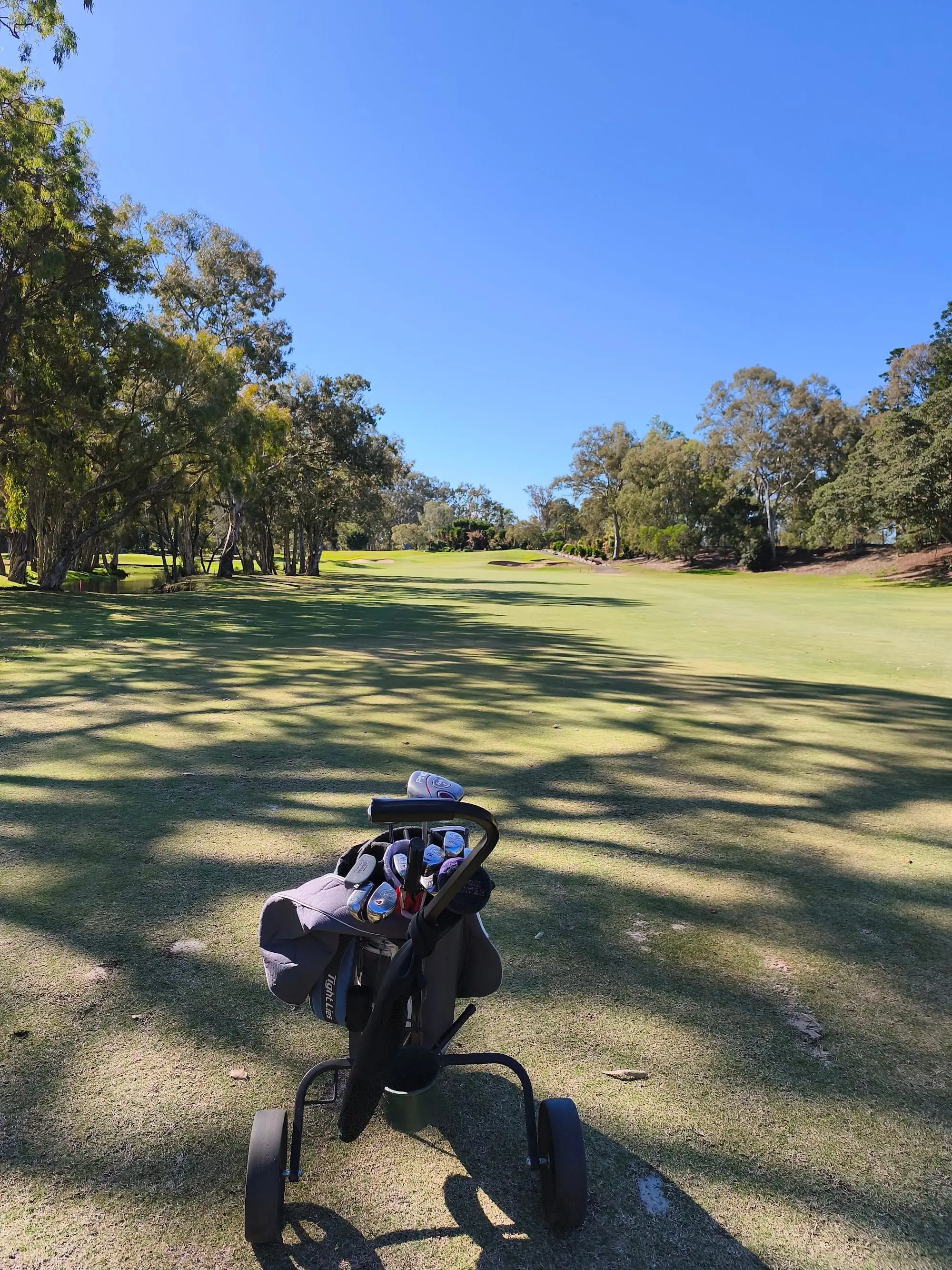 Dappled shade across a broad fairway lined with trees
