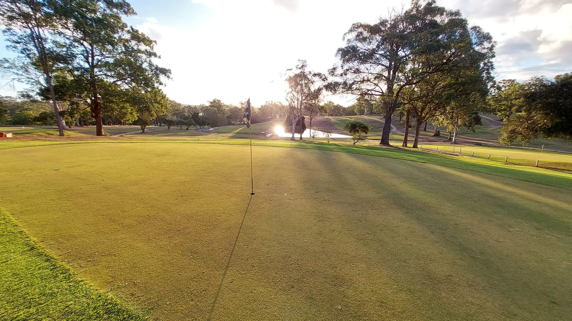 Green with flag lit by a low sun behind trees