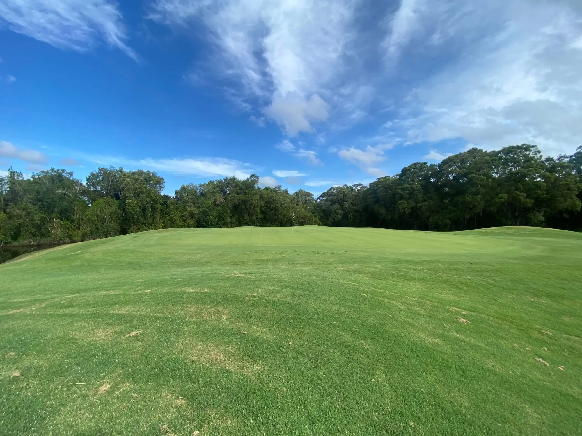 Rolling green with trees under cloudy blue sky
