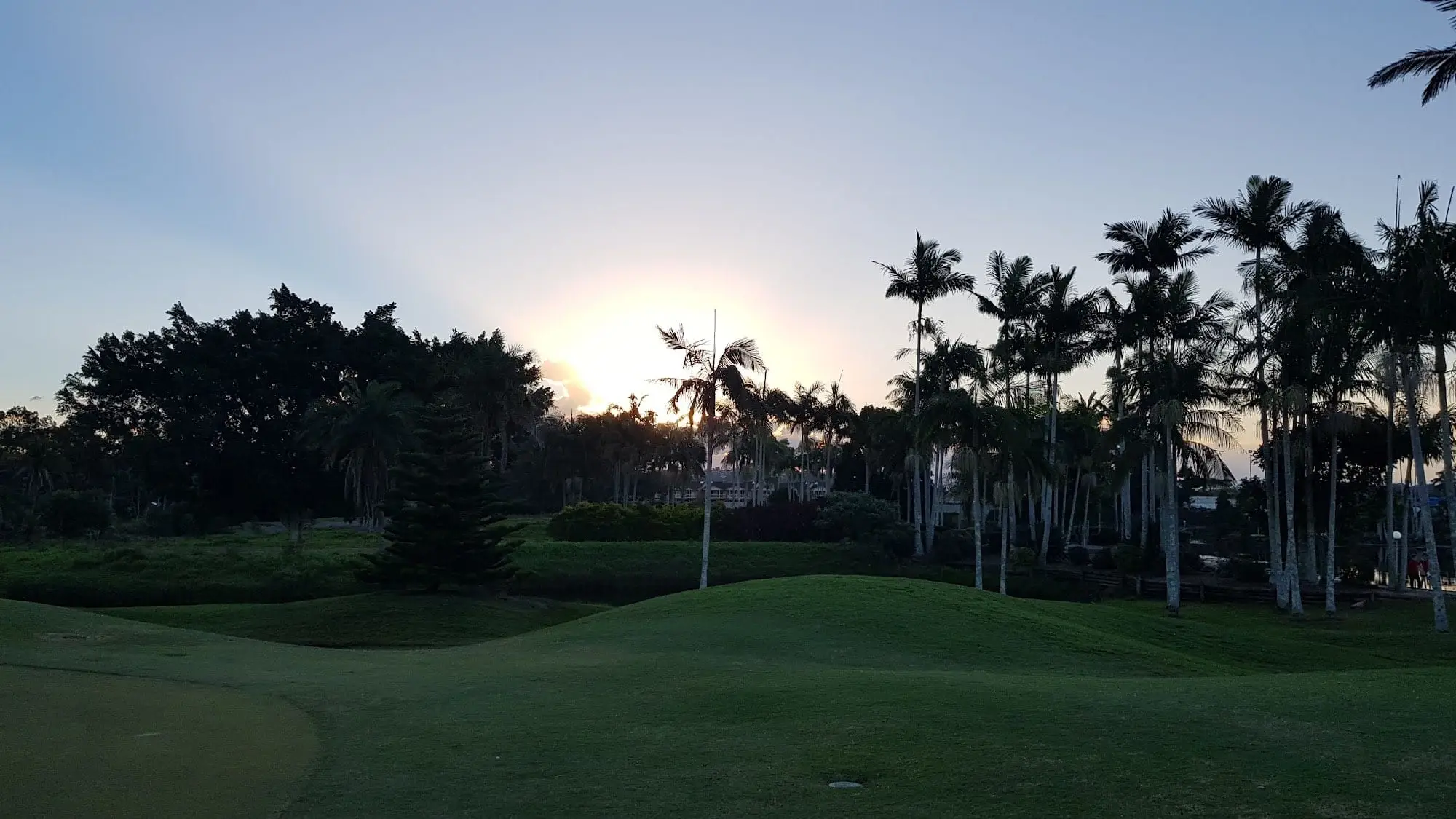 Palms and fairway against a glowing sunset sky