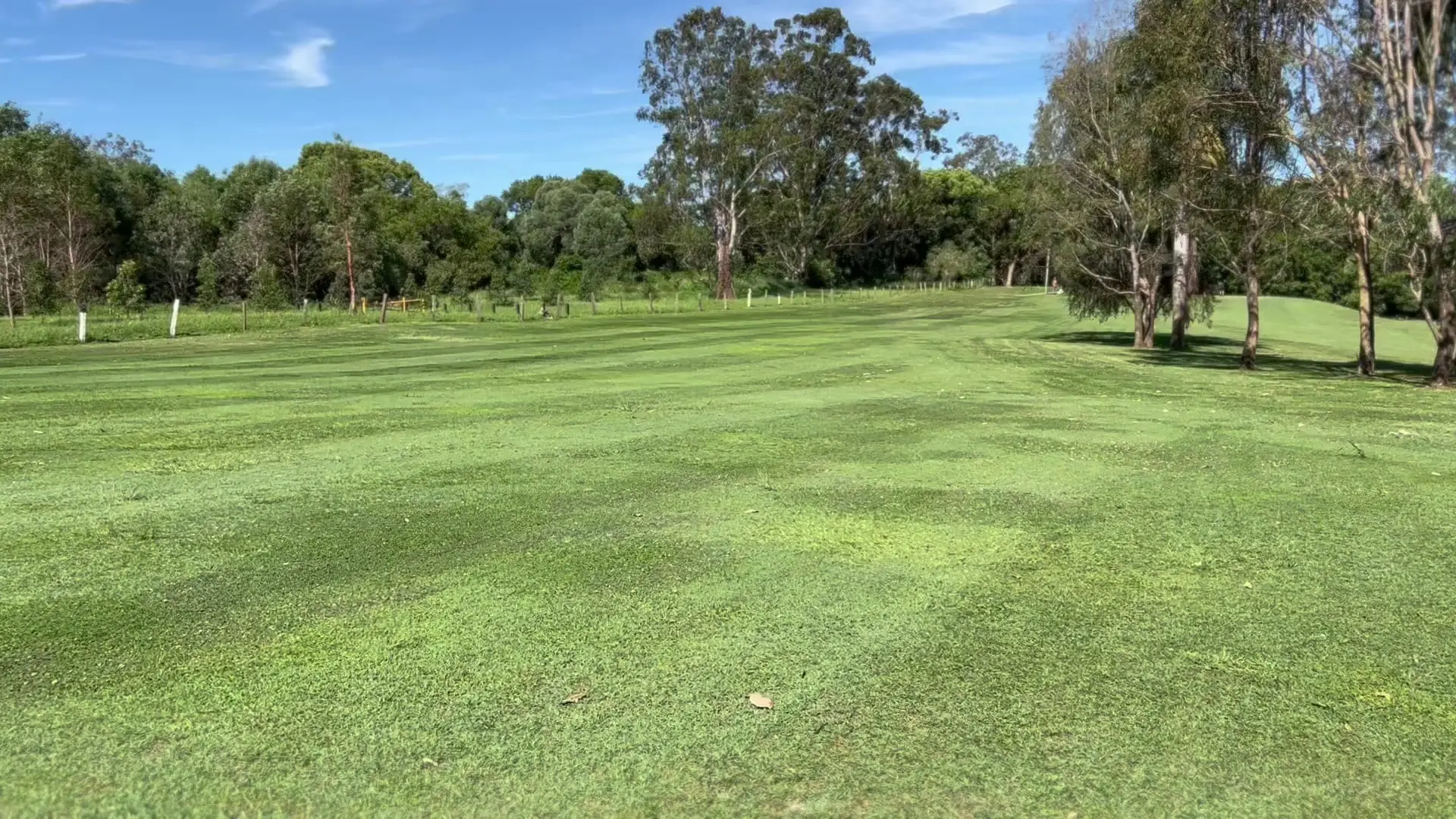 Mown fairway with trees along both sides