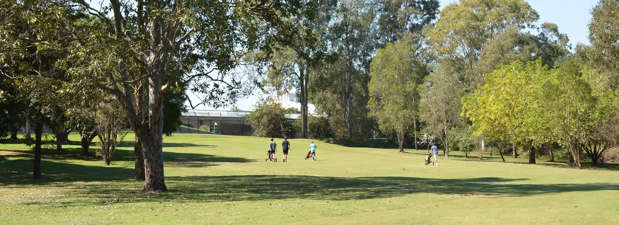 Golfers walking a fairway with trees and rolling grass