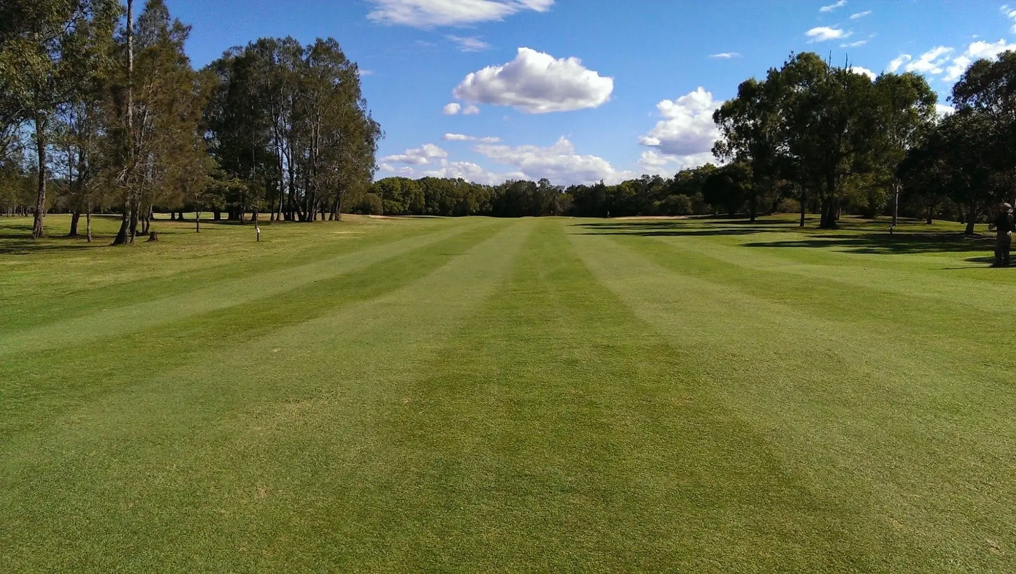 Mown fairway stripes stretching between rows of trees
