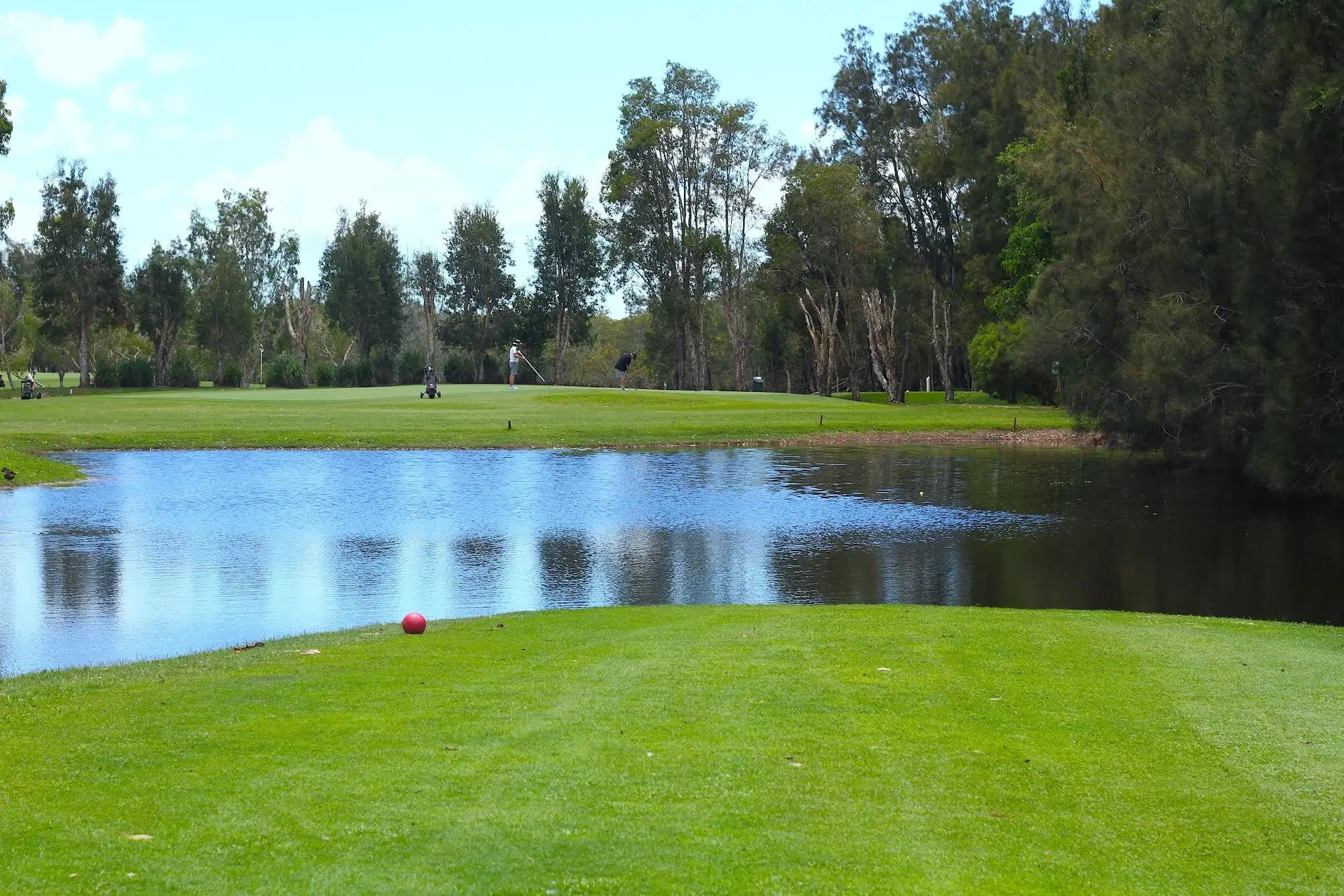 Tee overlooking a blue pond with trees behind
