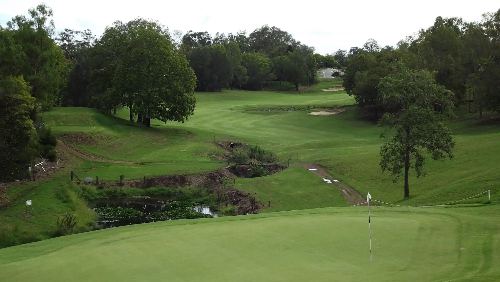 Green with flag above a creek and bunker, framed by trees