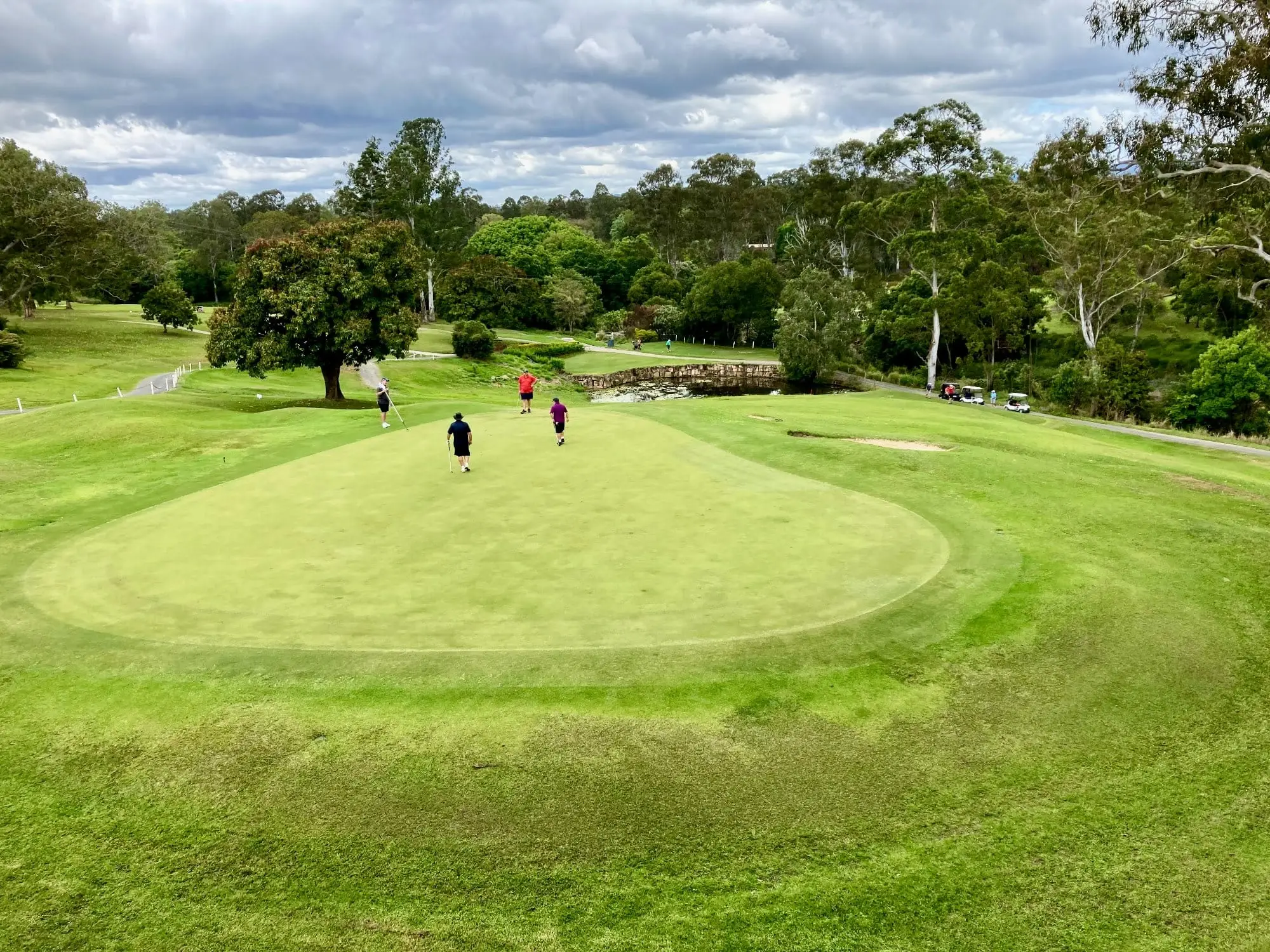 Golfers on a large green ringed by trees