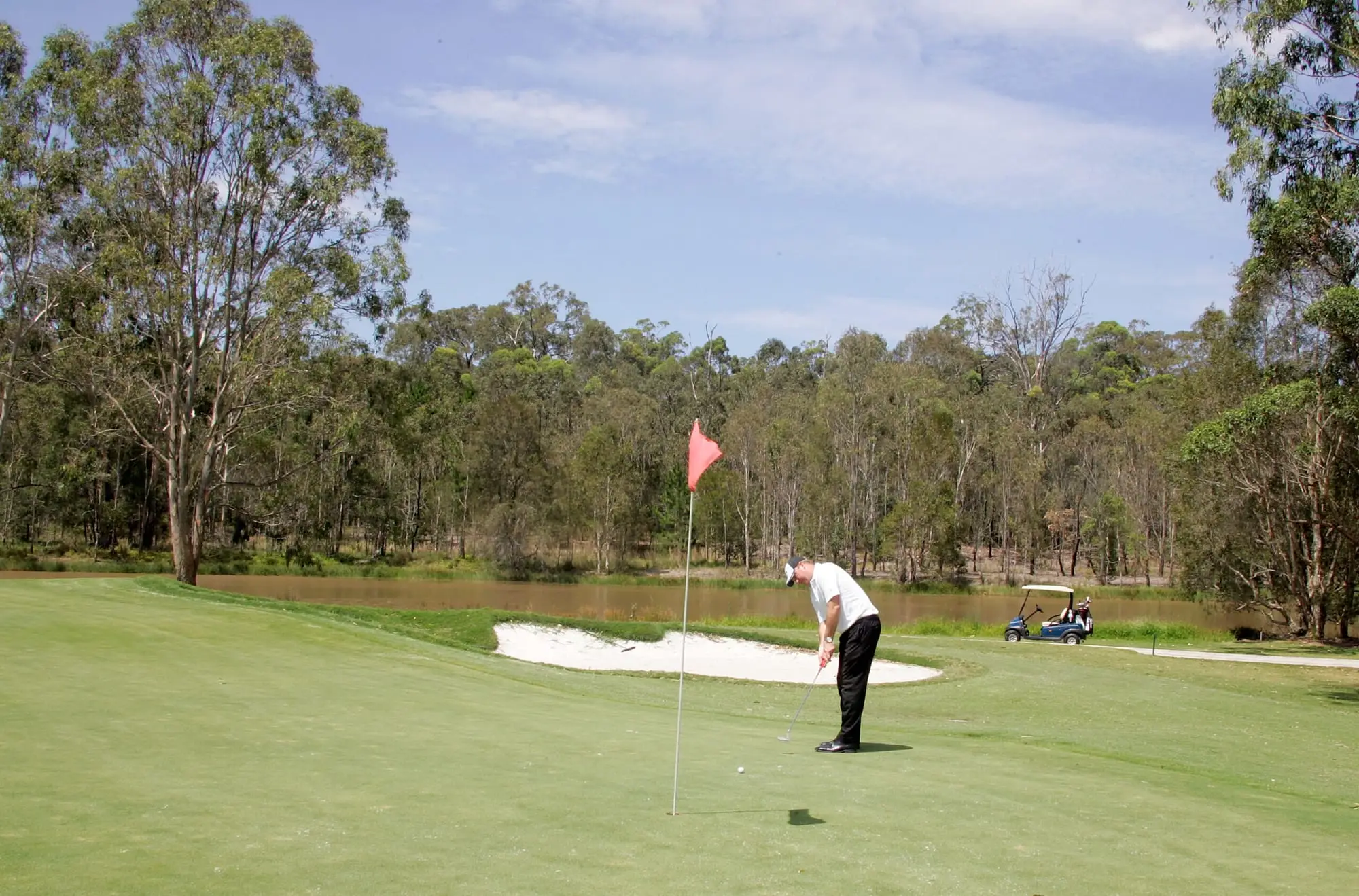 Golfer putting on a green beside a bunker and trees