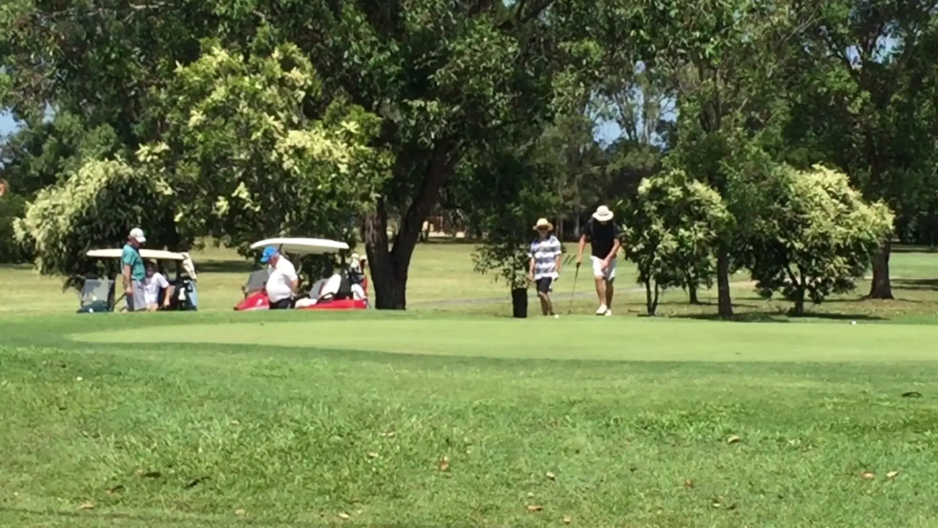 Golfers and buggies on a green beside trees