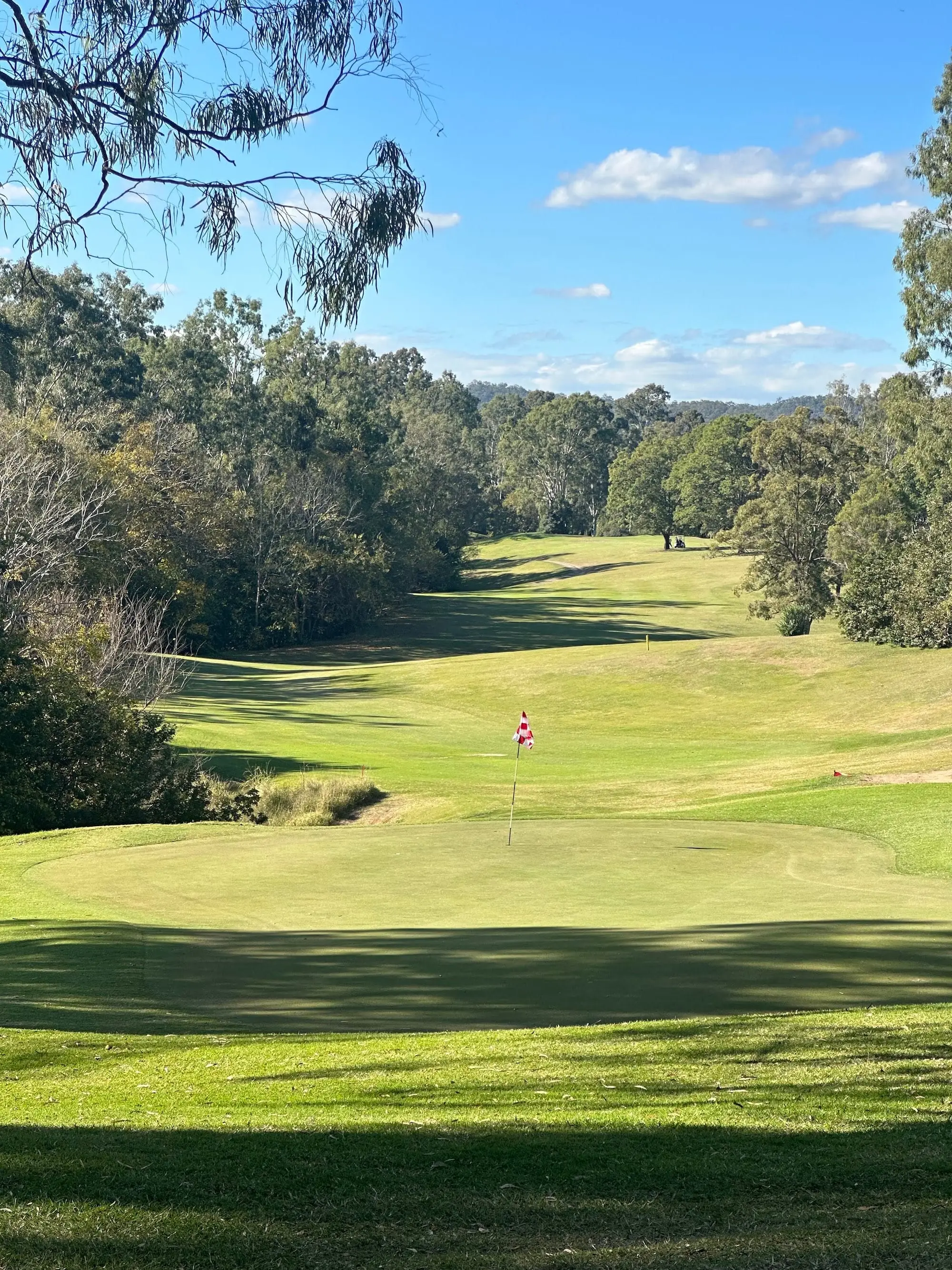 Fairway sloping toward a flagged green in a wooded valley