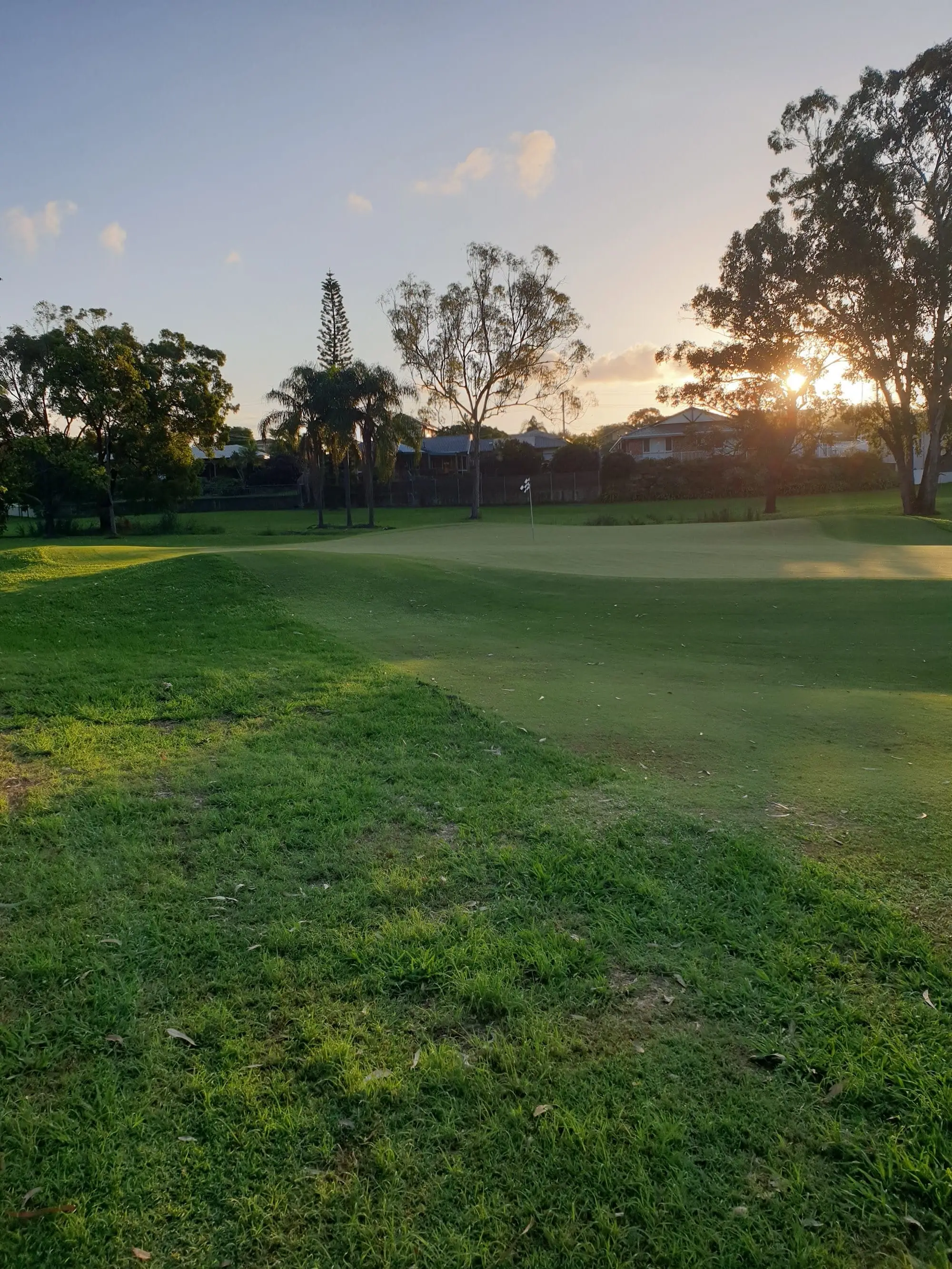 Sunset behind trees over a green and fairway