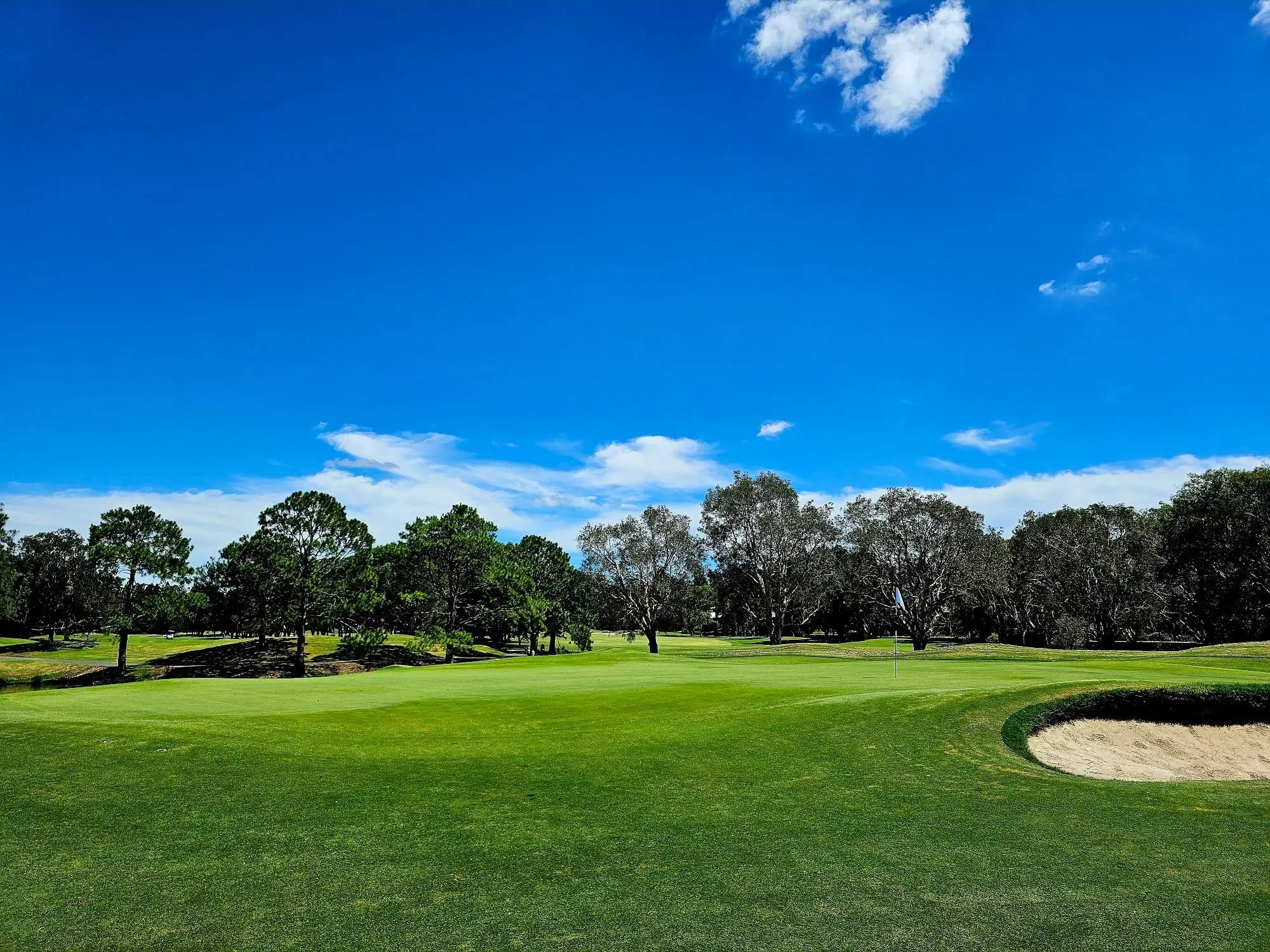 Green with bunker beneath a bright blue sky and trees