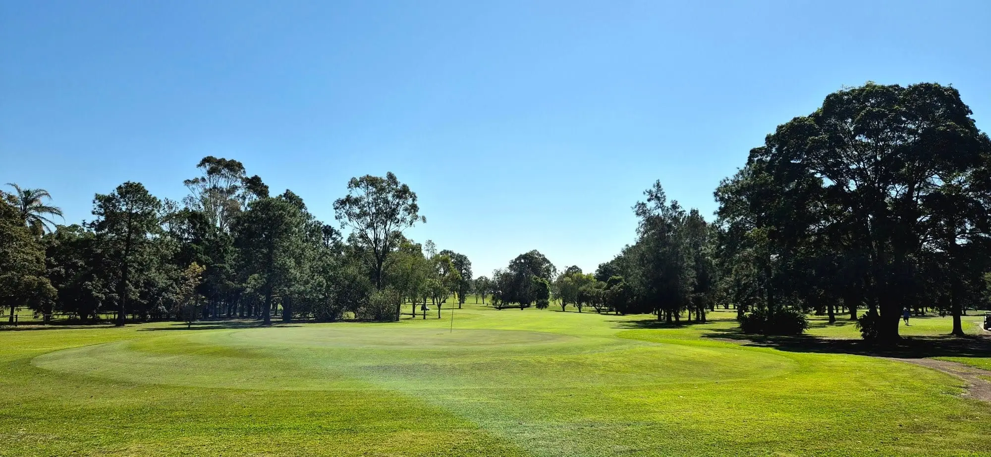 Open fairway with trees under a clear blue sky