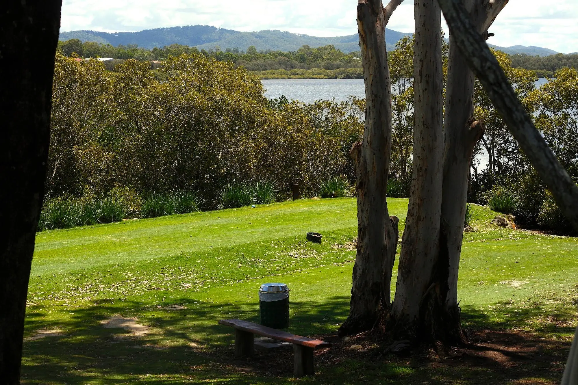 Tee view over bushland toward water and distant hills