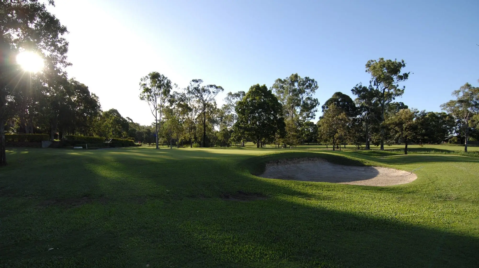 Bunker and green in low sun with trees beyond