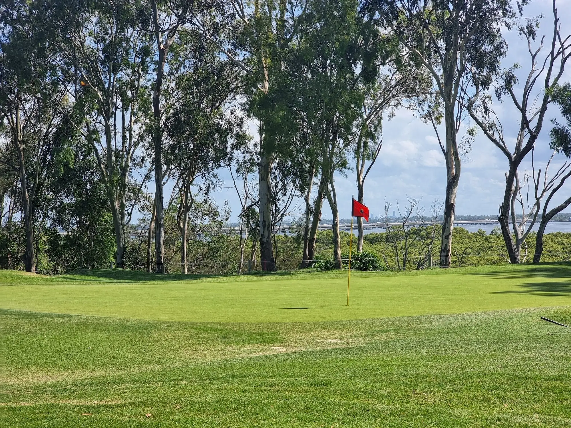 Green with red flag among gum trees and water beyond