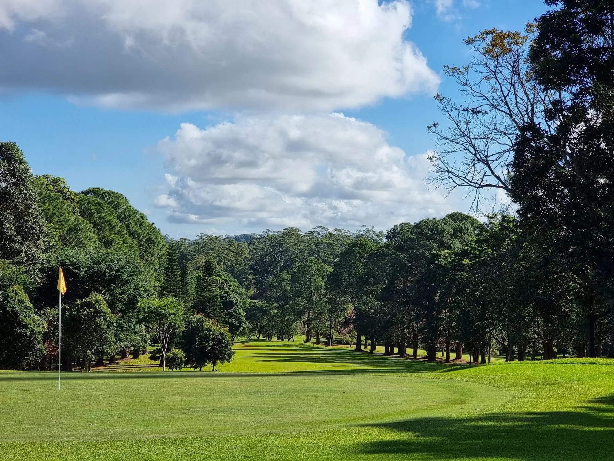 Green with flag framed by trees under blue sky