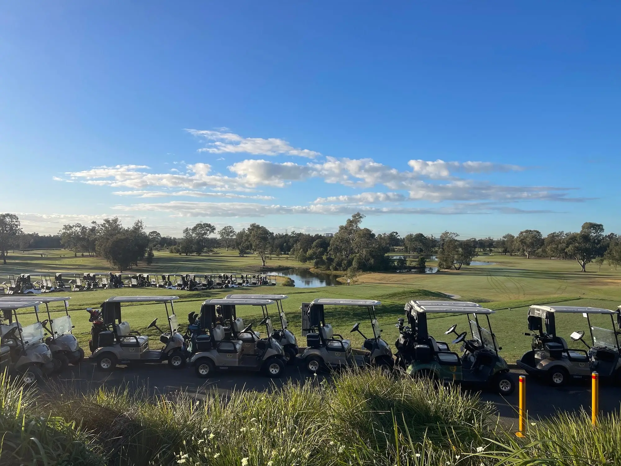 Fairway with buggies lined up and blue sky above