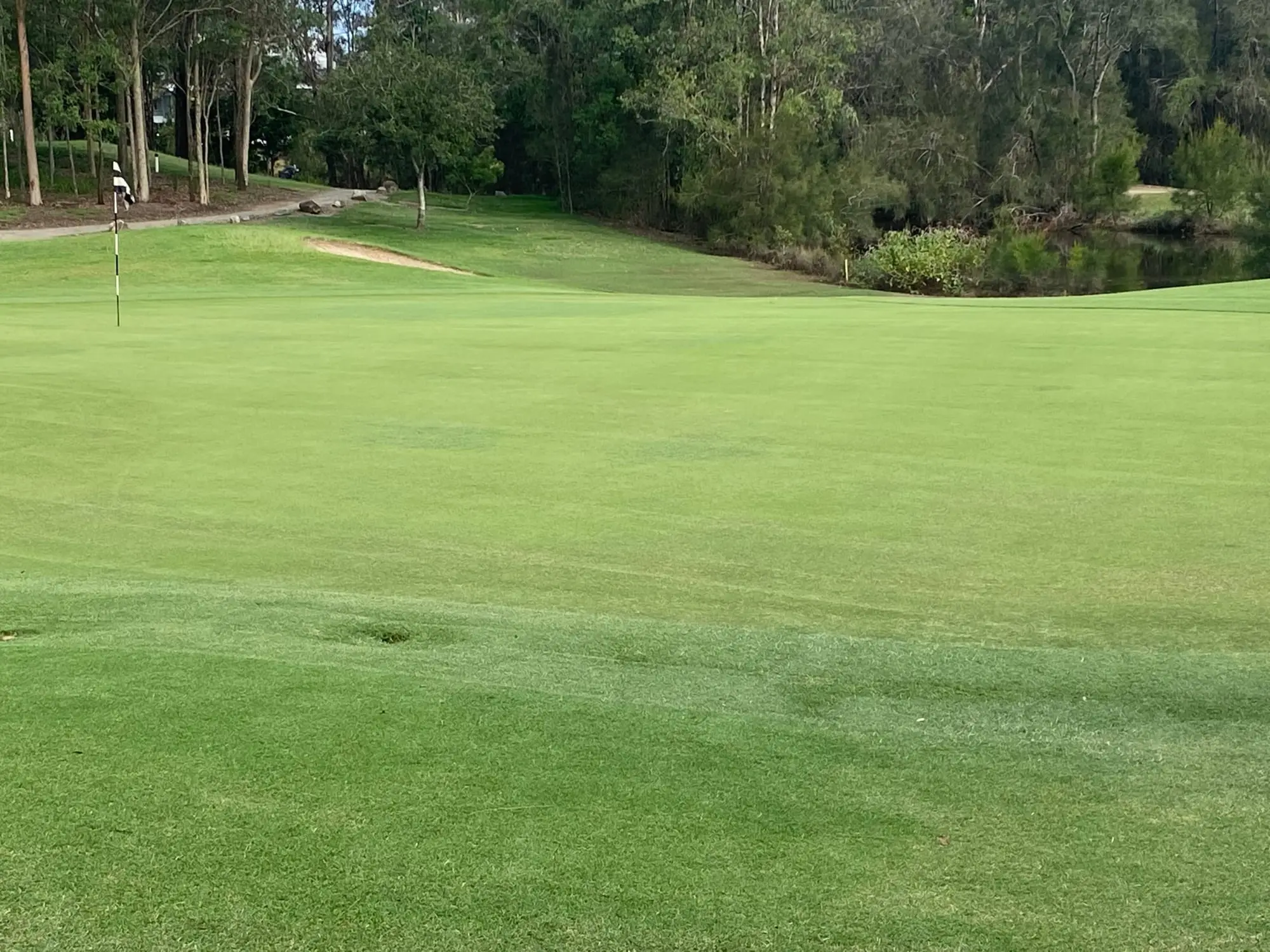 Green with flag and bunker at edge of trees
