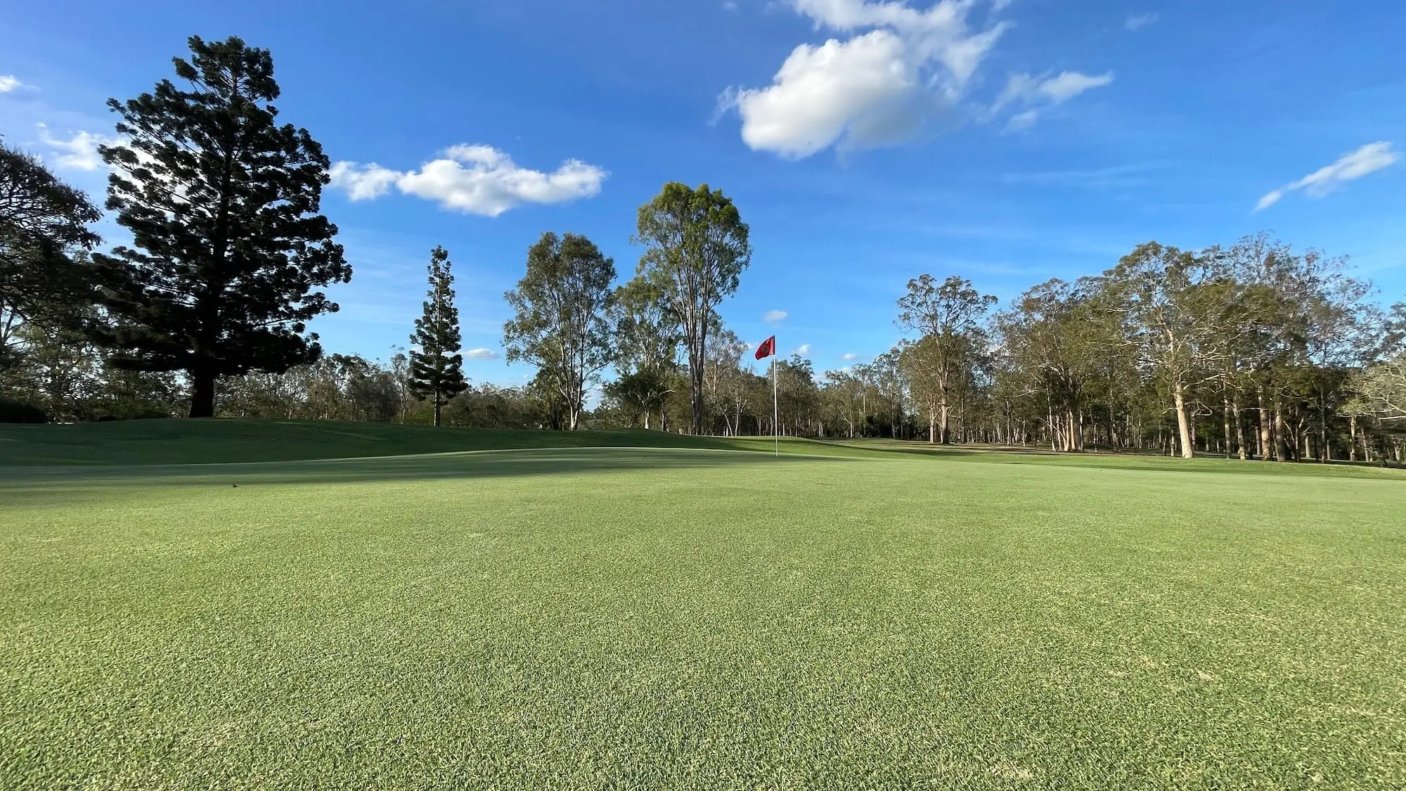 Open fairway with flag in distance and trees