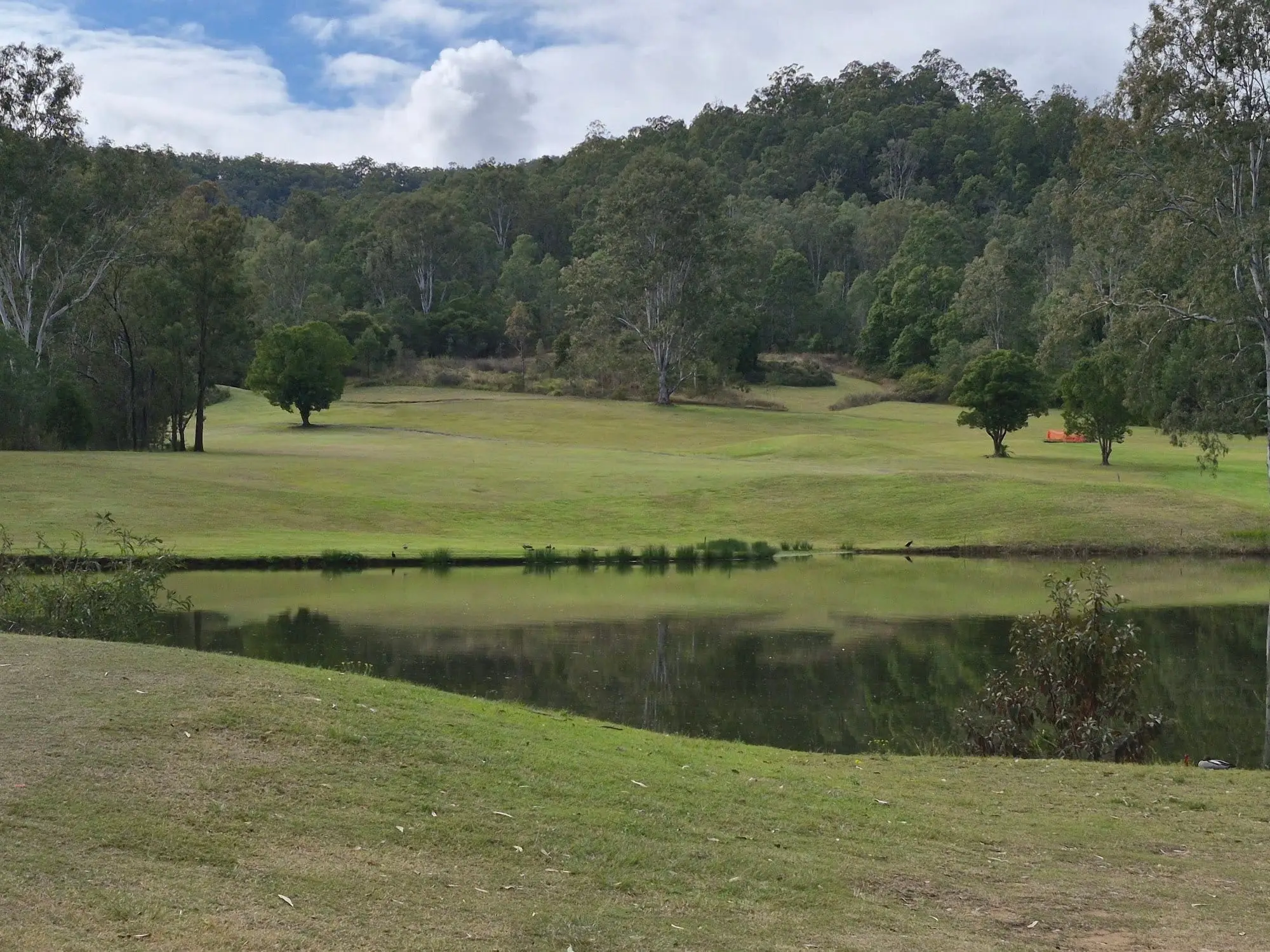 Lake beside a fairway with bush and a wooded hillside