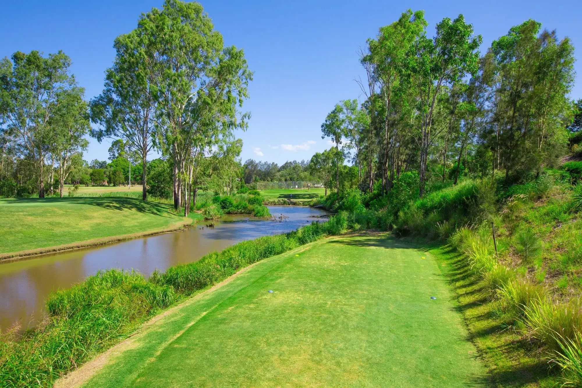 Creek running alongside a tee and fairway
