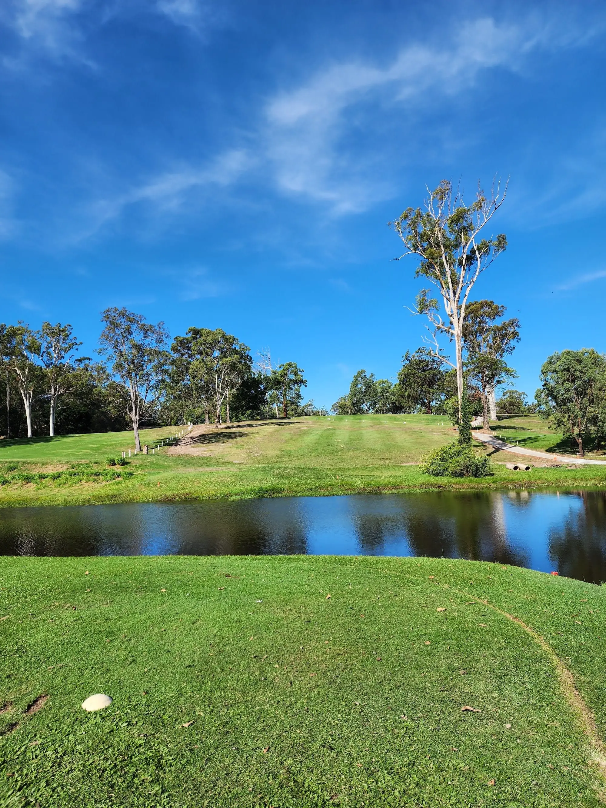 Pond and mown fairway with gum trees under blue sky
