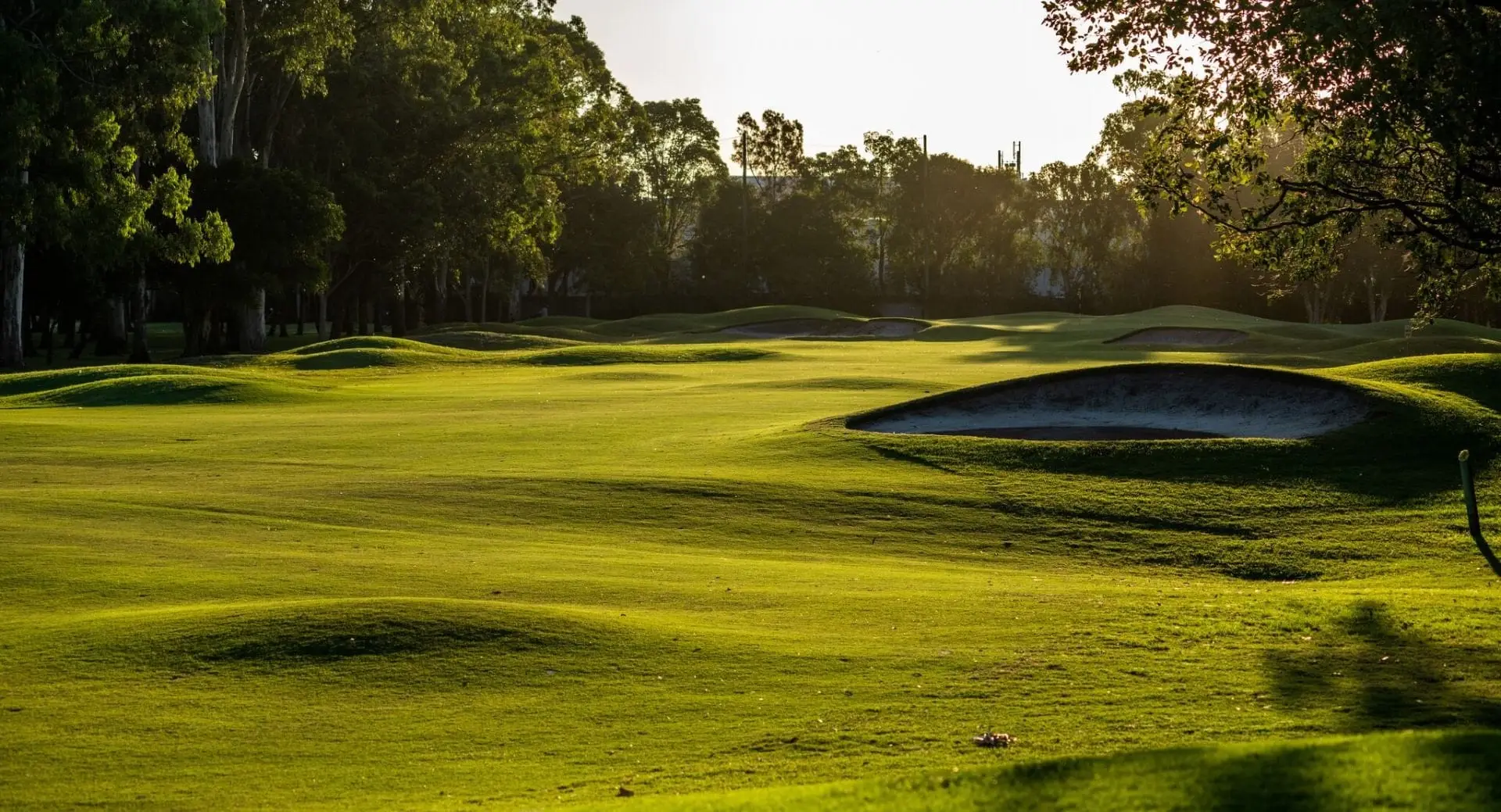 Fairway and bunker in low golden light