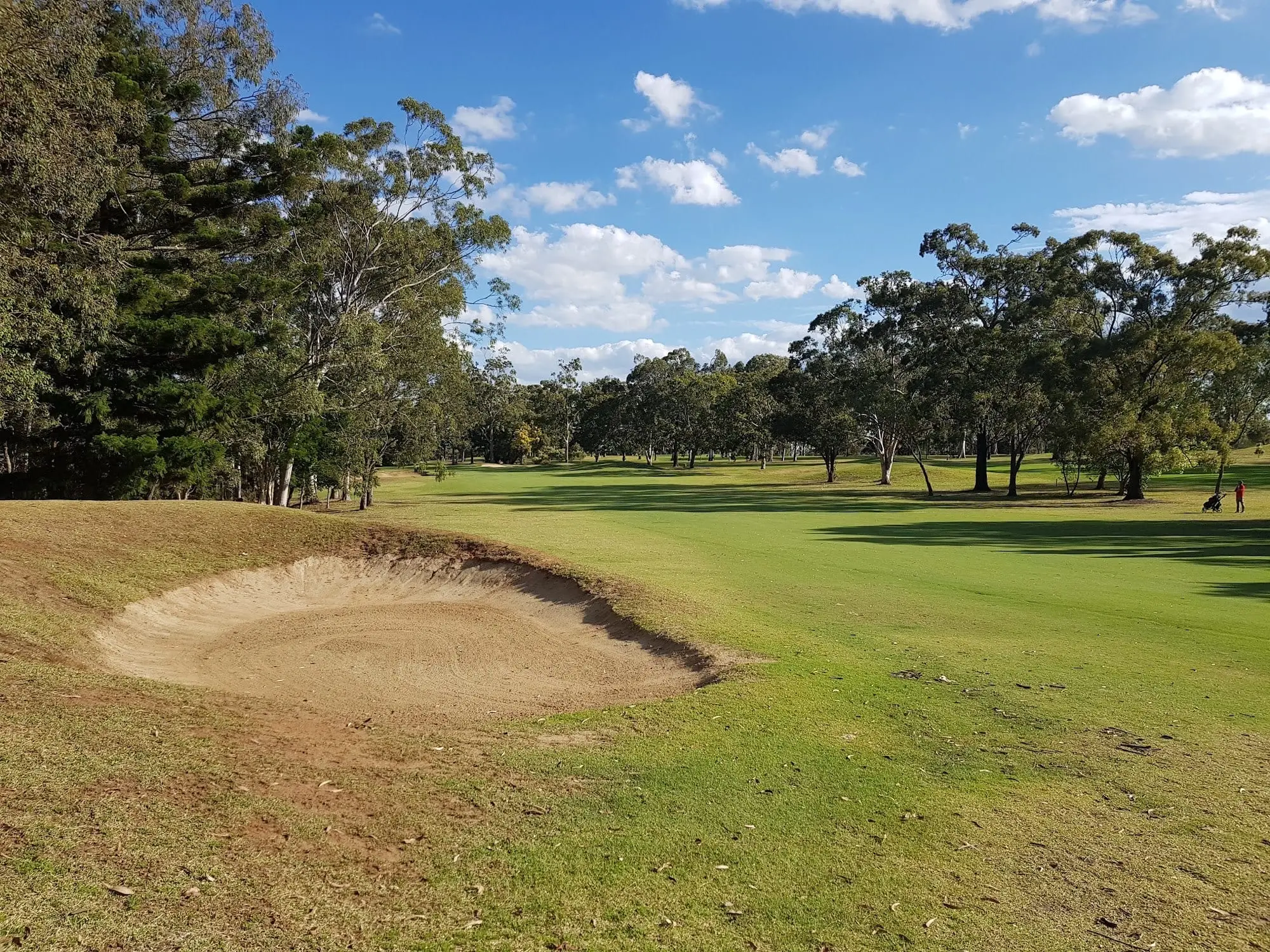 Bunker beside a fairway with trees and blue sky