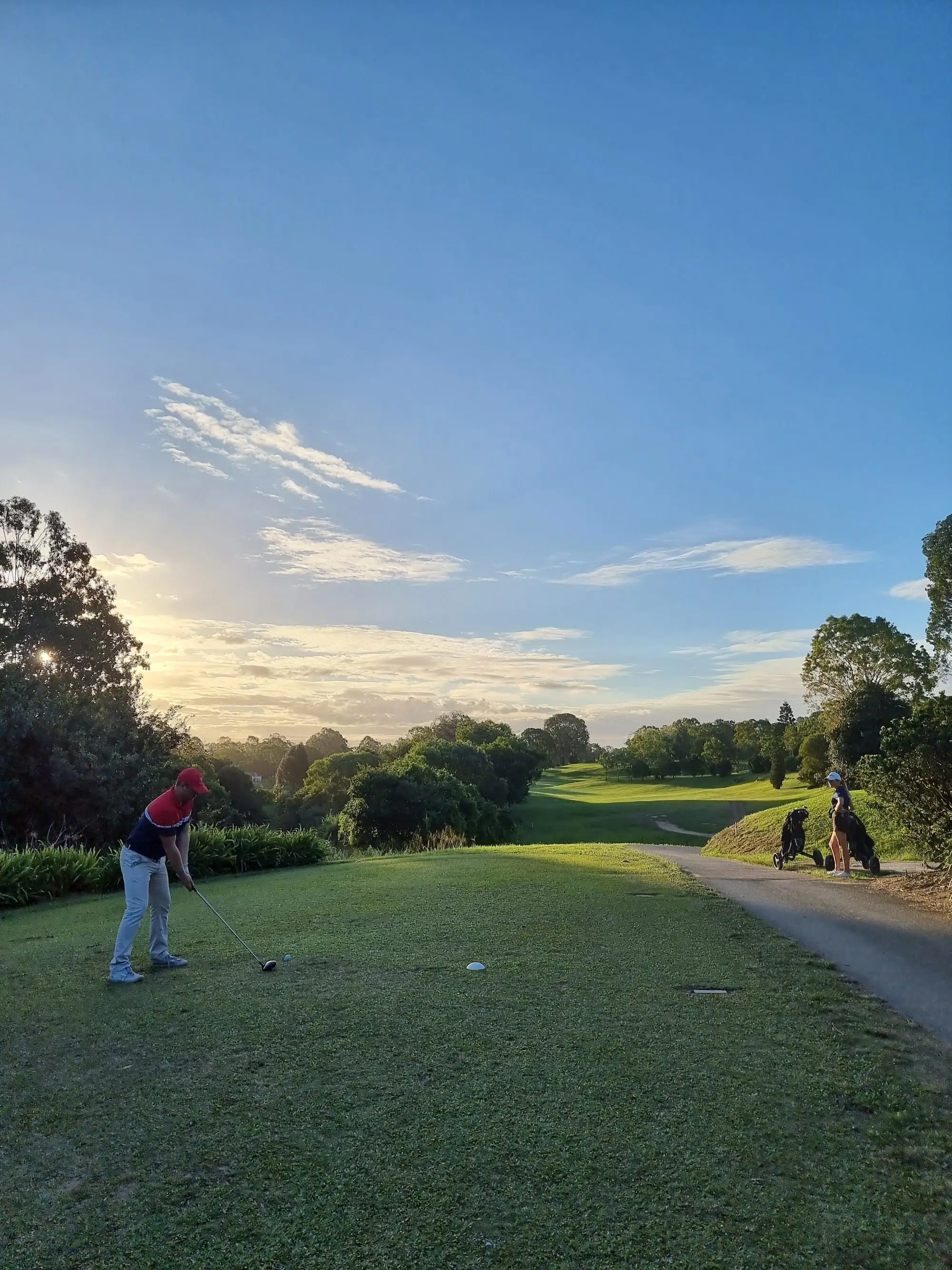 Evening sunlight across a fairway curving between trees