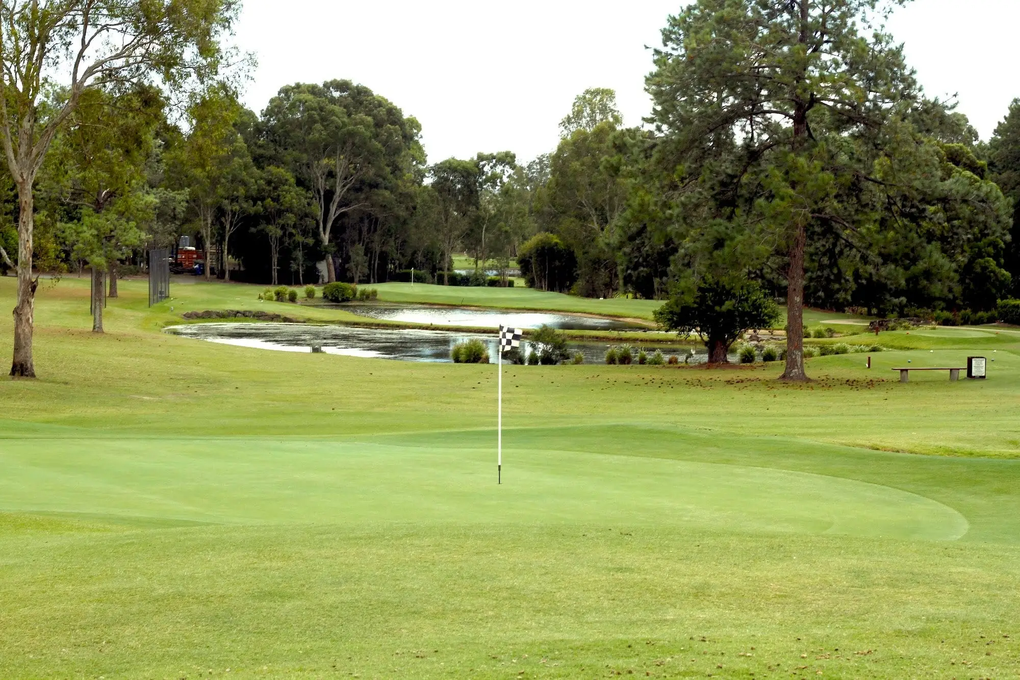 Green with flag and water hazard among mature trees