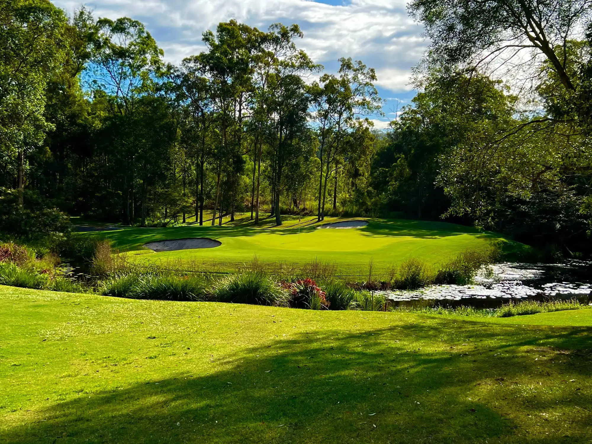 Green beside water with gums on a sunny day
