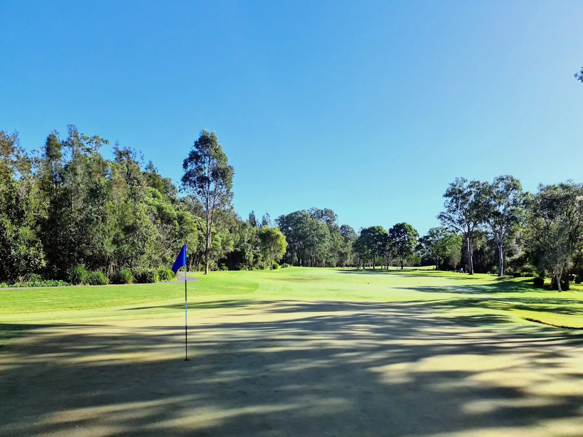 Long fairway with blue flag and trees under clear blue sky