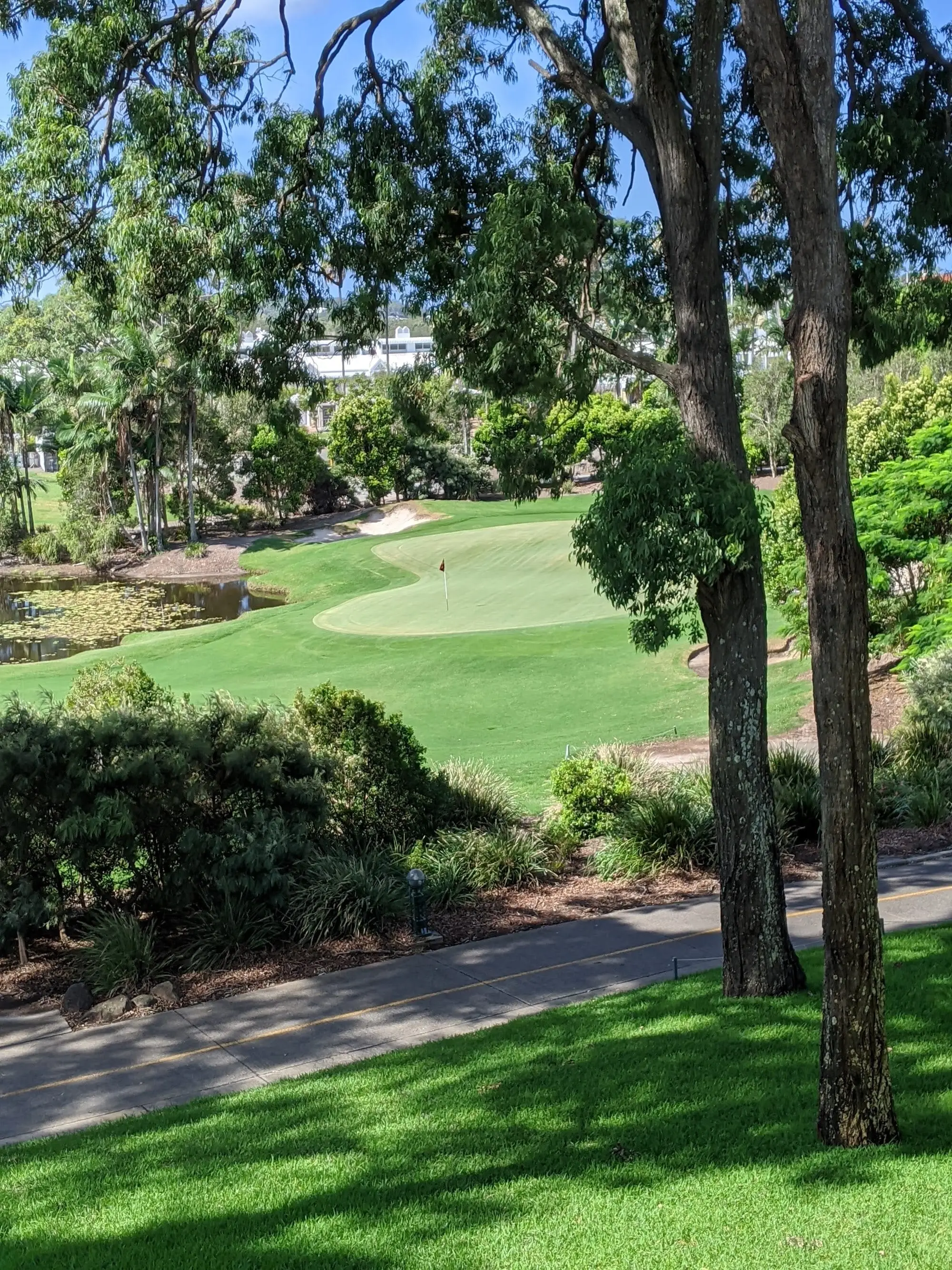 Green with water hazard seen through trees
