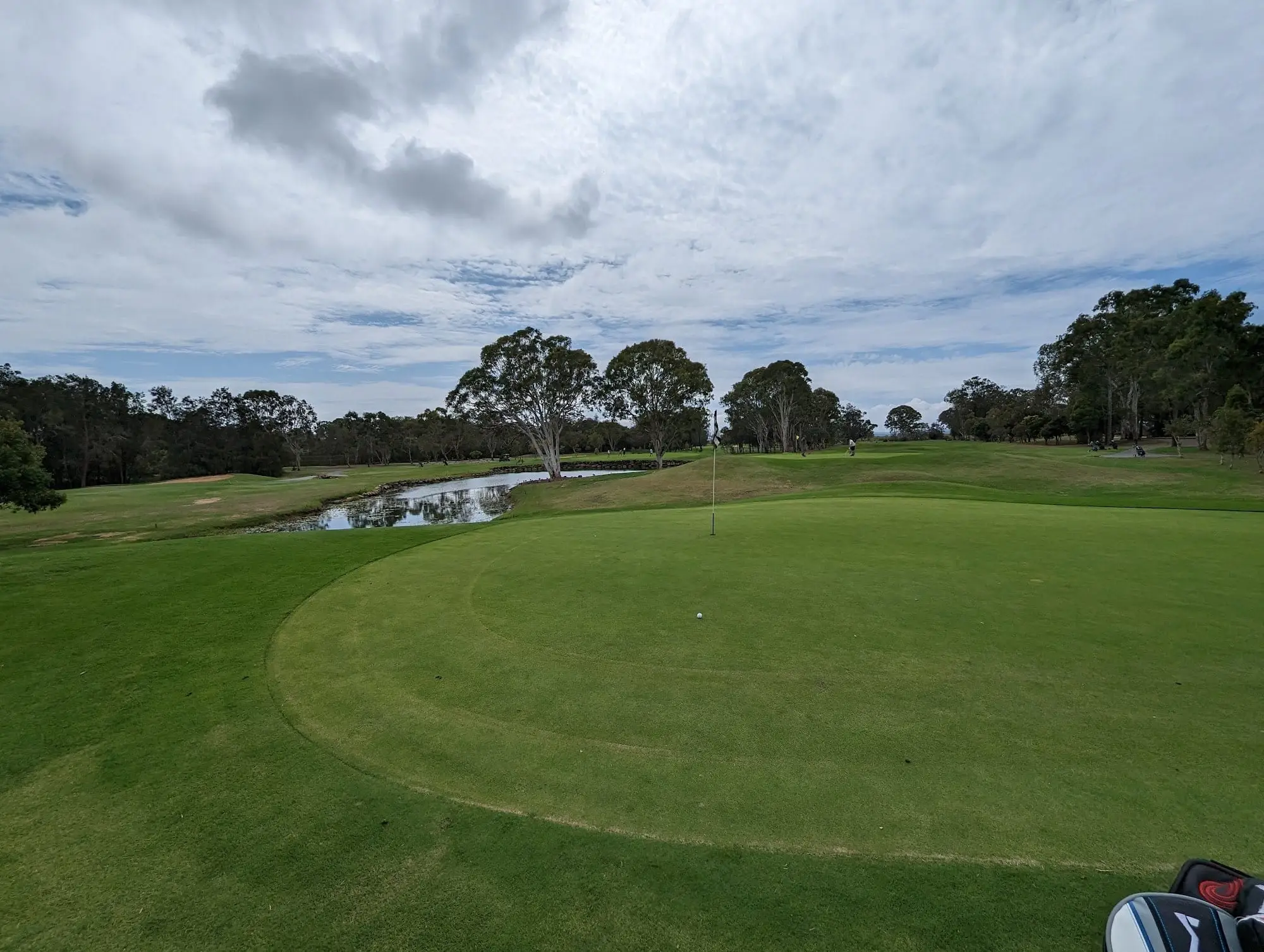 Green beside a pond with gum trees under cloudy sky